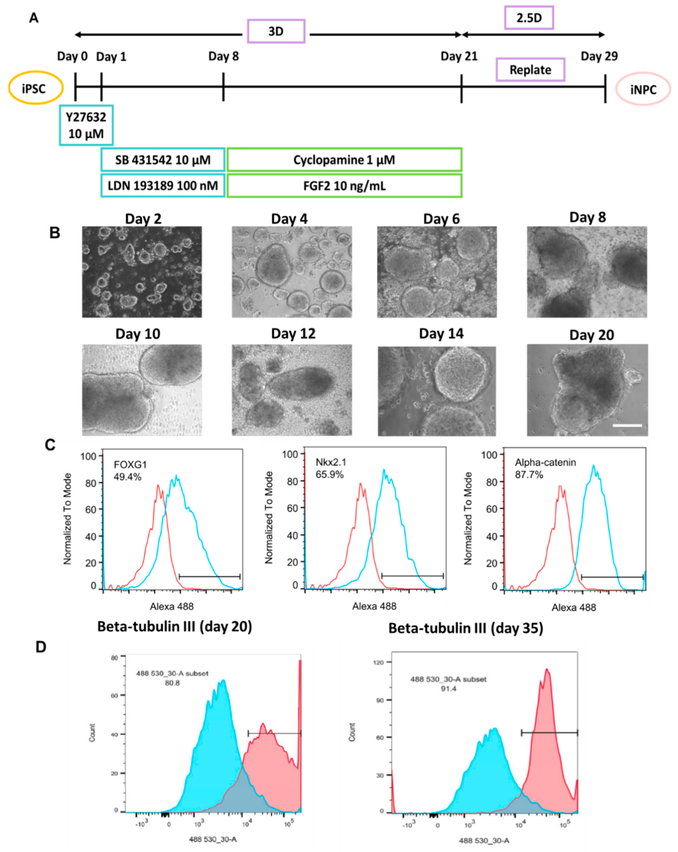 Biomedicines 10 03060 g001