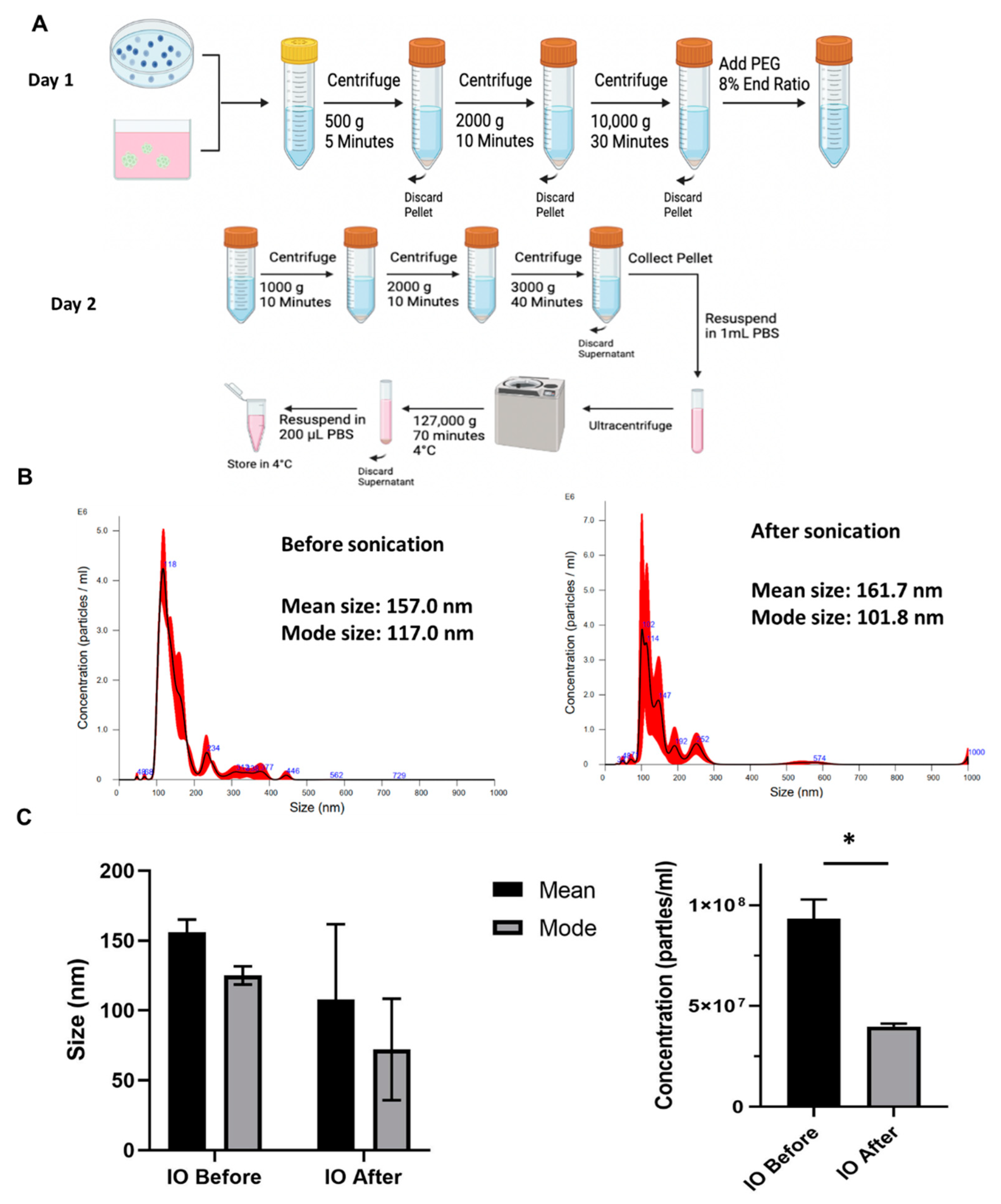 Biomedicines 10 03060 g002