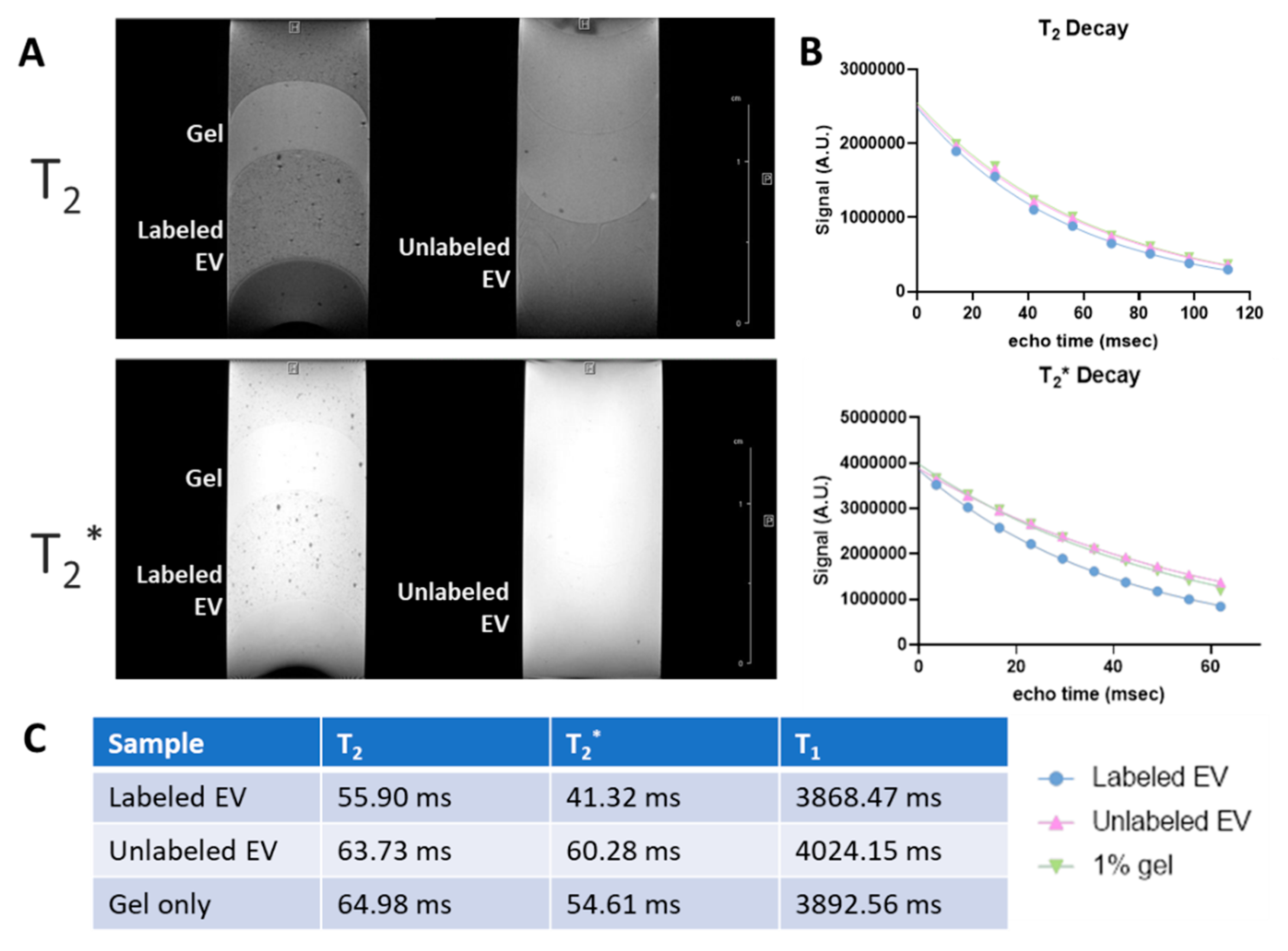 Biomedicines 10 03060 g004