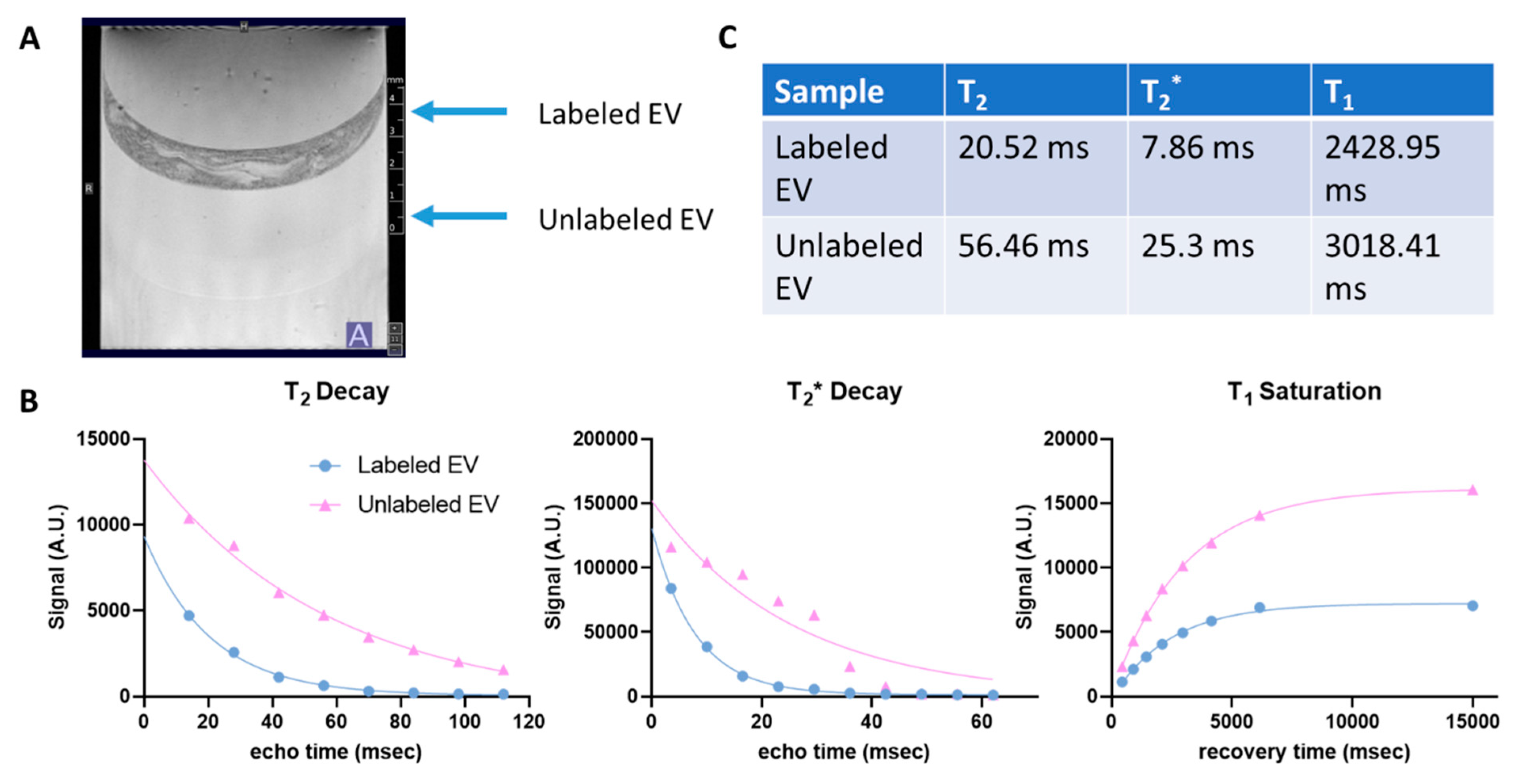 Biomedicines 10 03060 g006