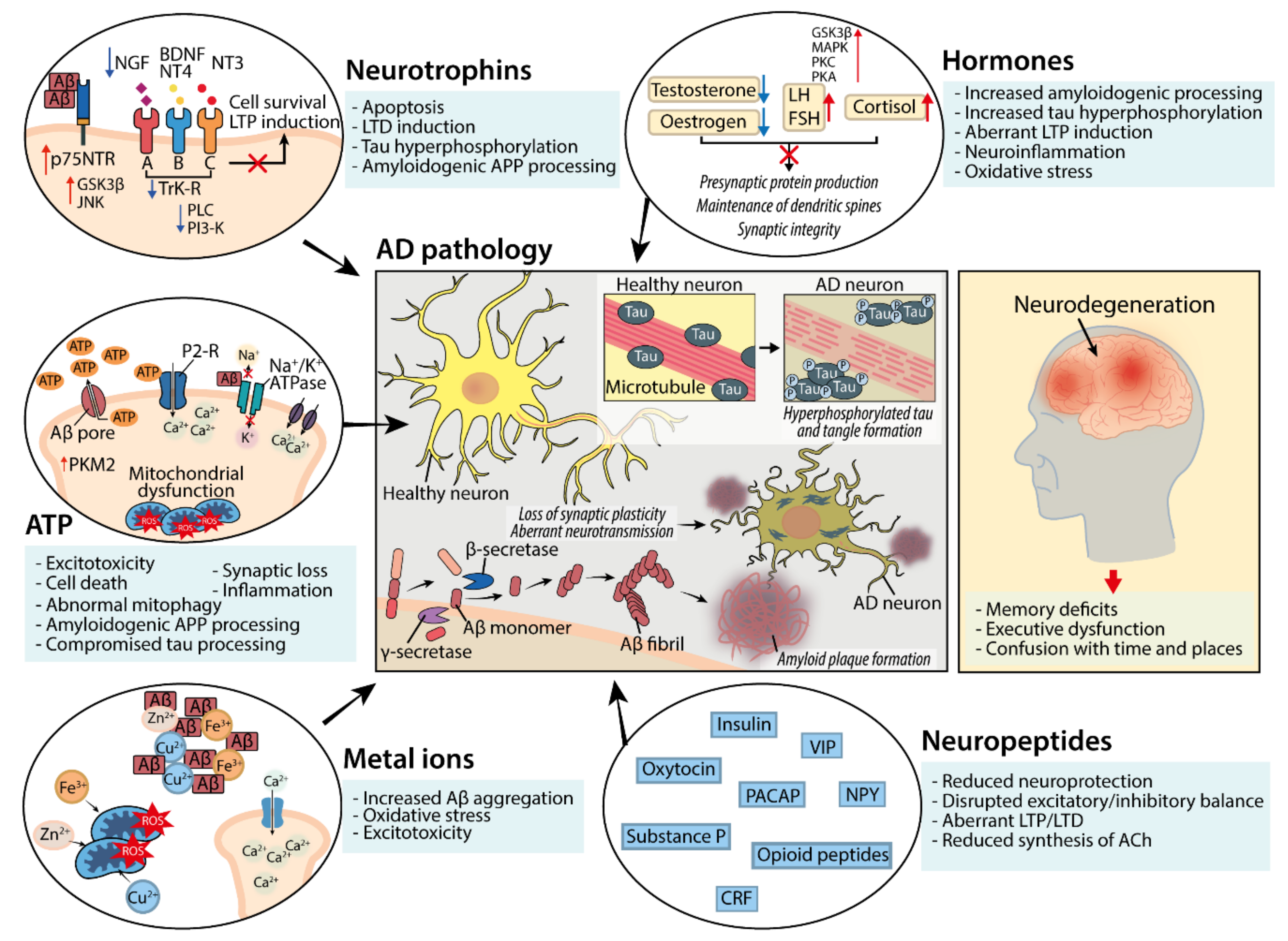 Alternative Pharmacological Strategies for the Treatment of
