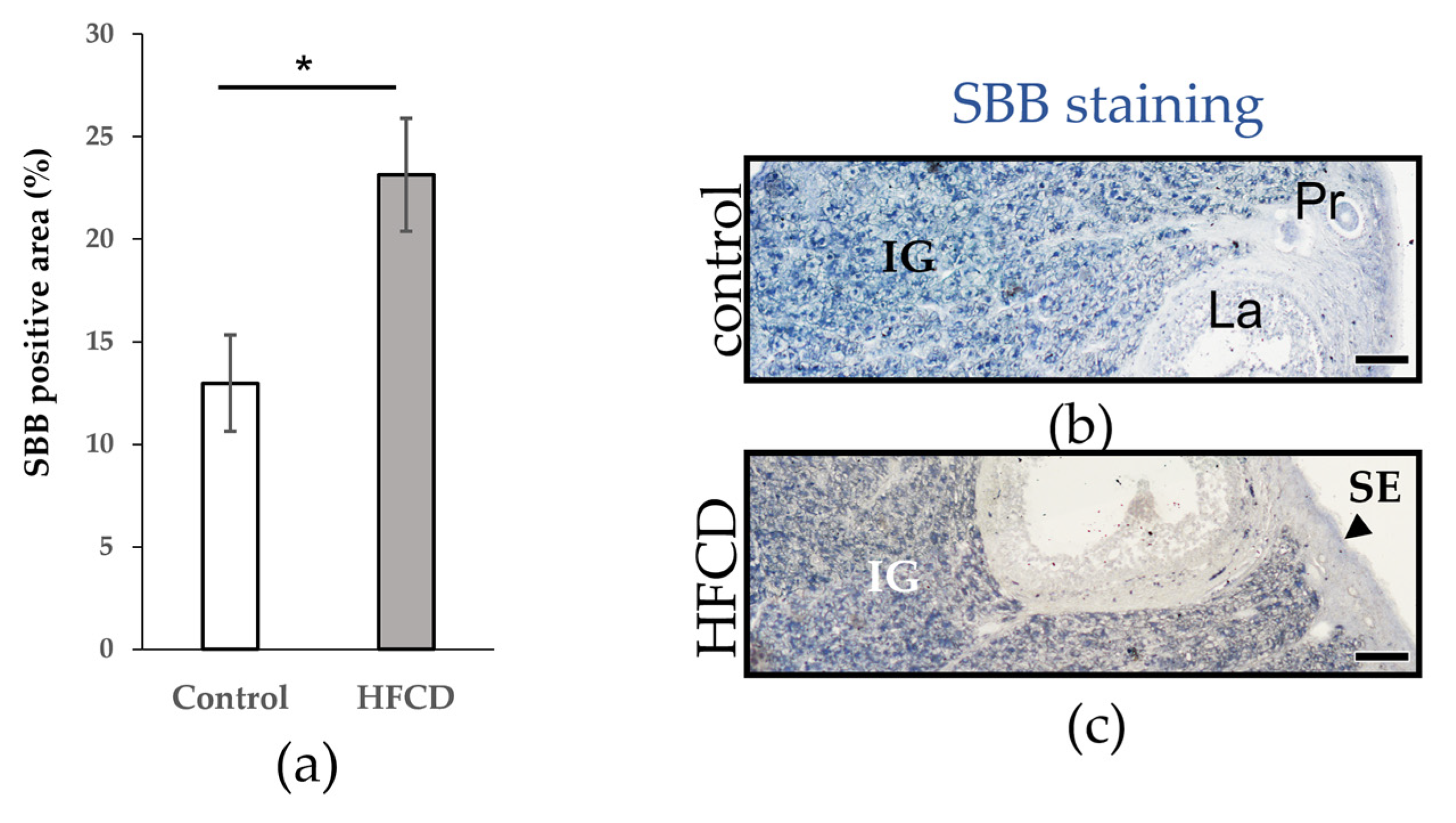 Biomedicines 10 03068 g002 Biomedicines 10 03068 g002