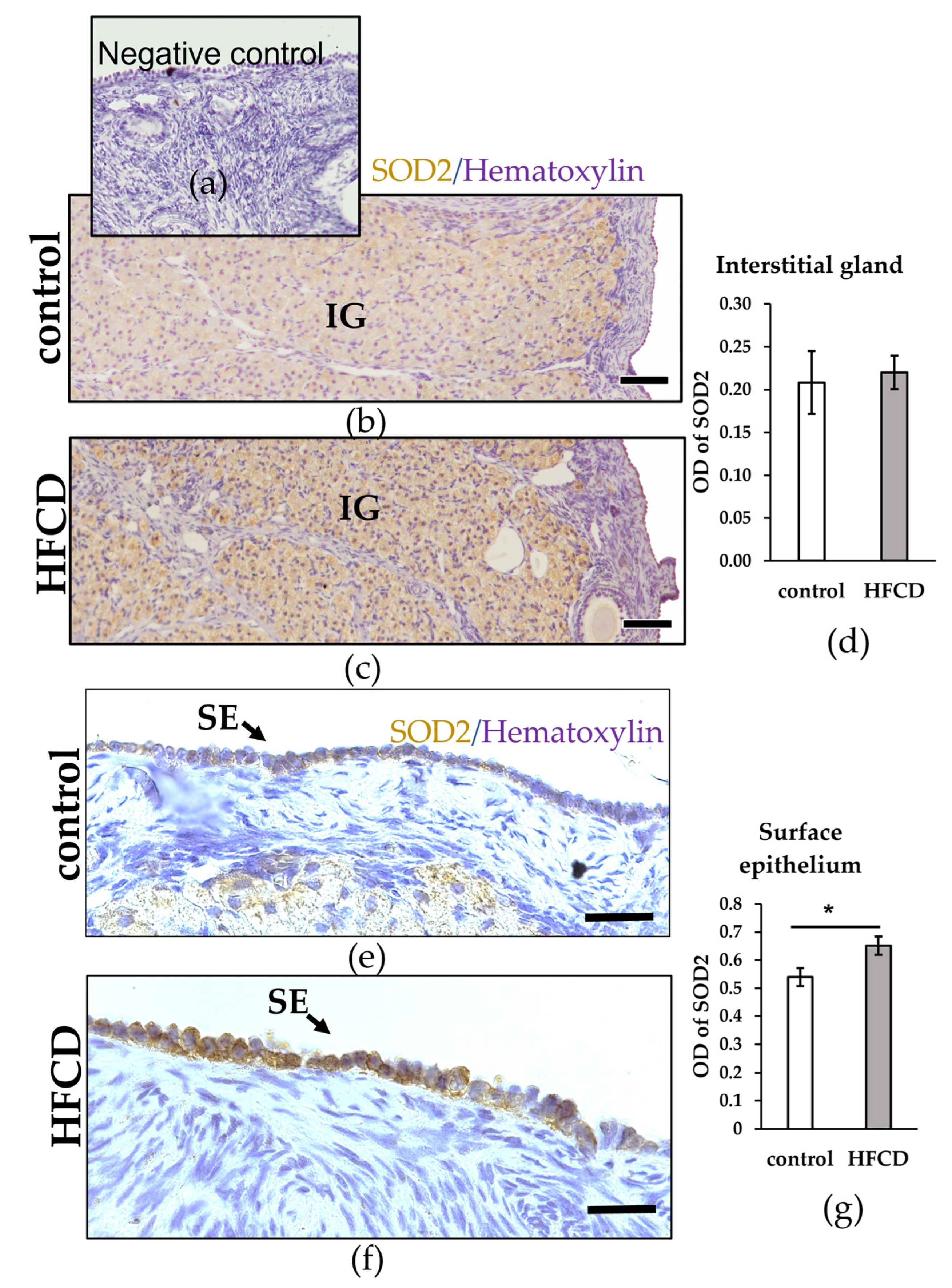 Biomedicines 10 03068 g003 Biomedicines 10 03068 g003