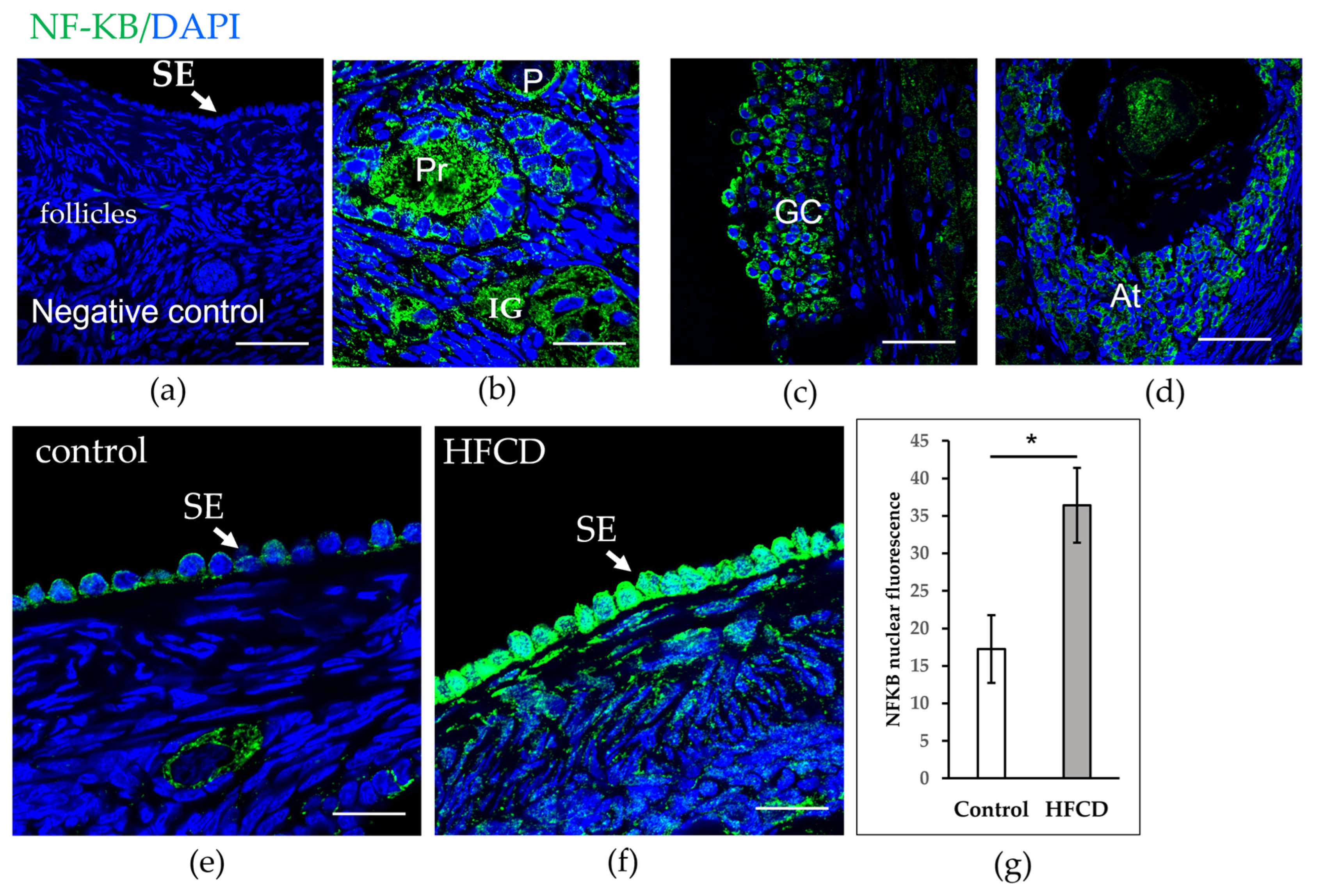 Biomedicines 10 03068 g004 Biomedicines 10 03068 g004