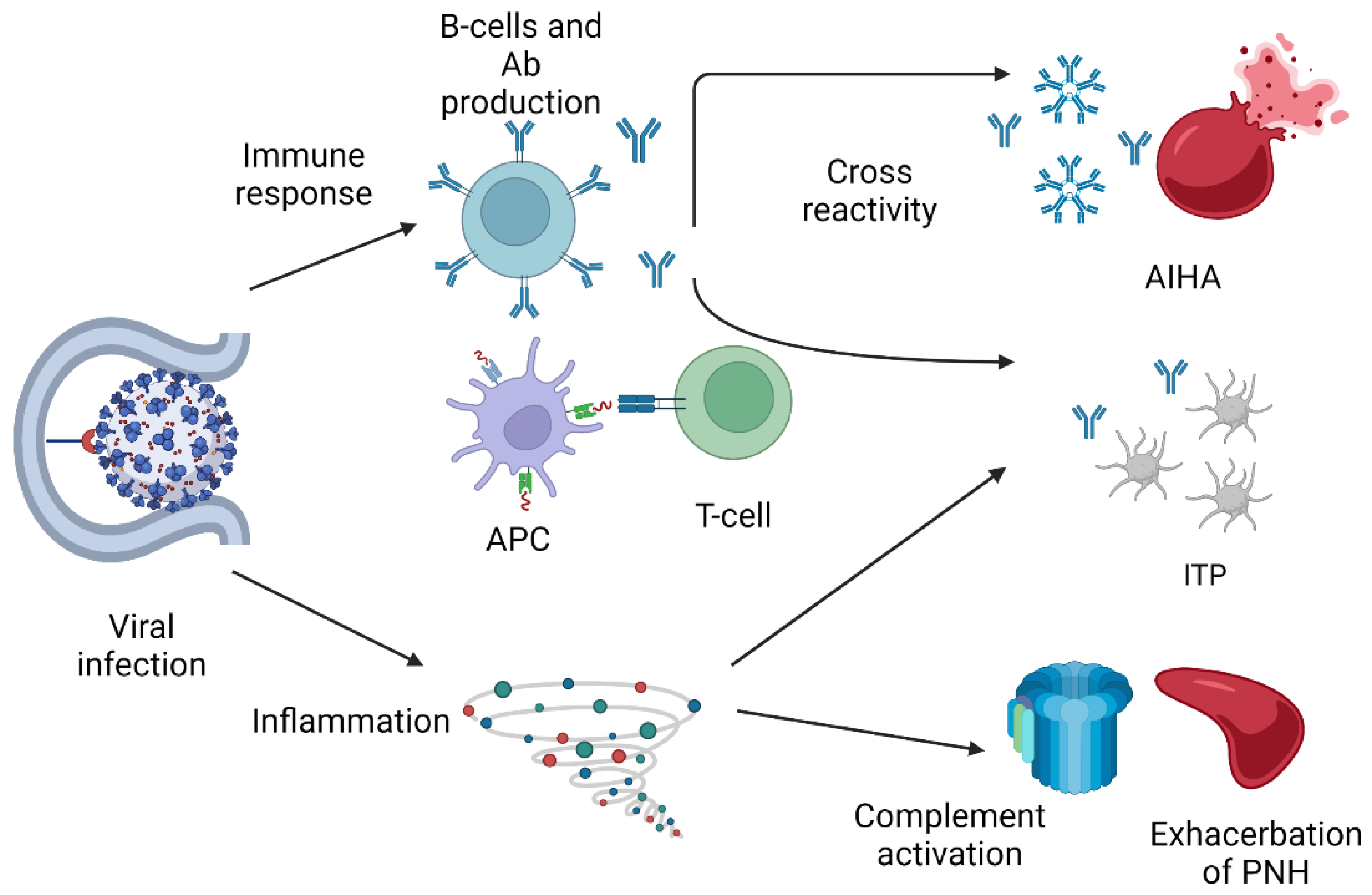 Biomedicines 10 03069 g002 Biomedicines 10 03069 g002