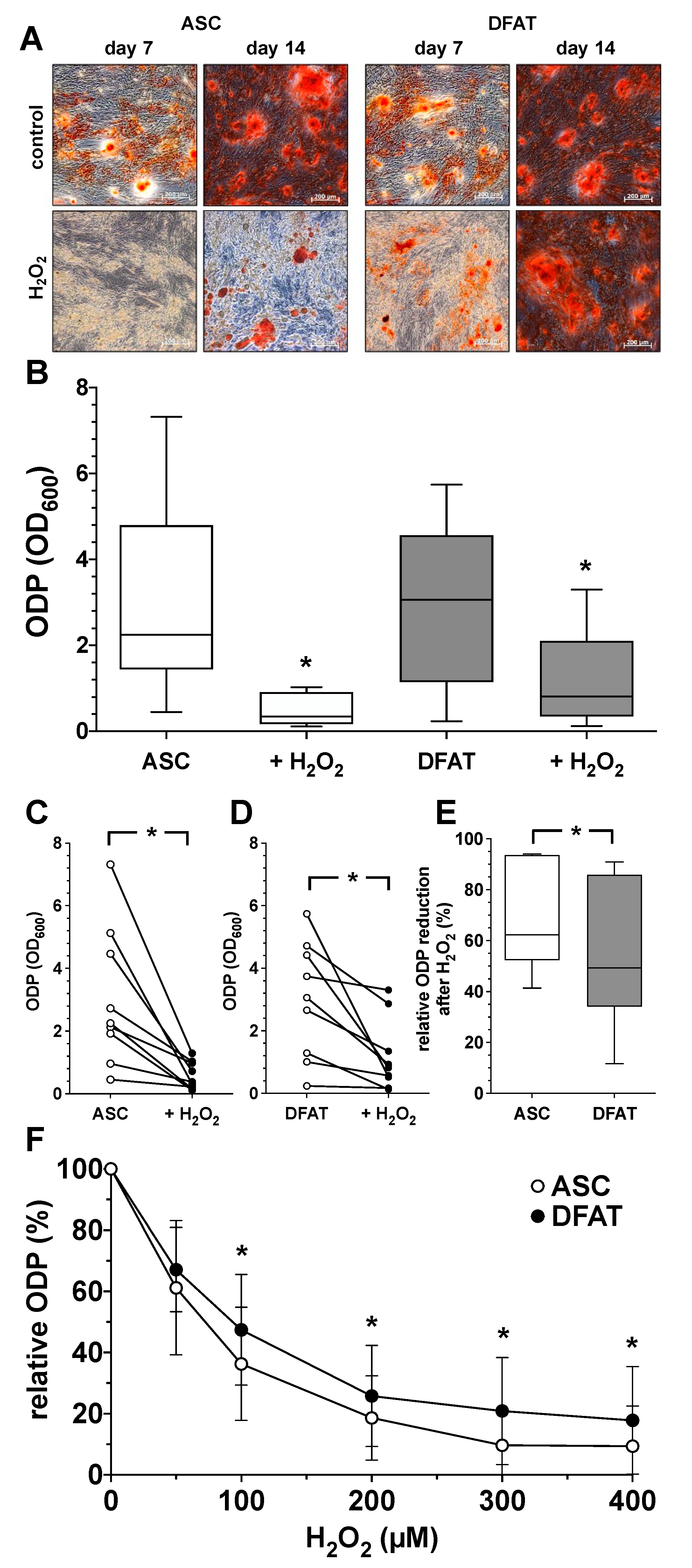 Biomedicines 10 03071 g004
