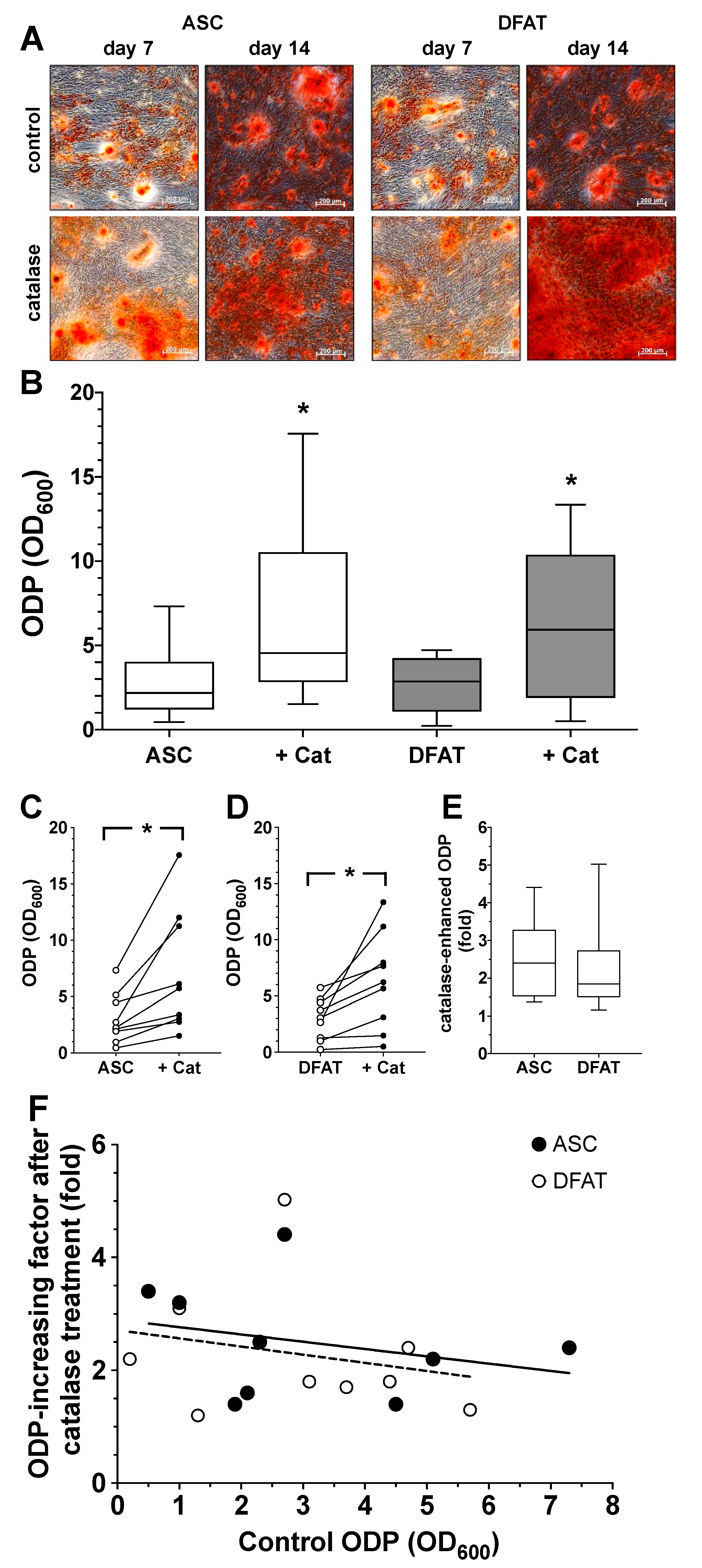 Biomedicines 10 03071 g005