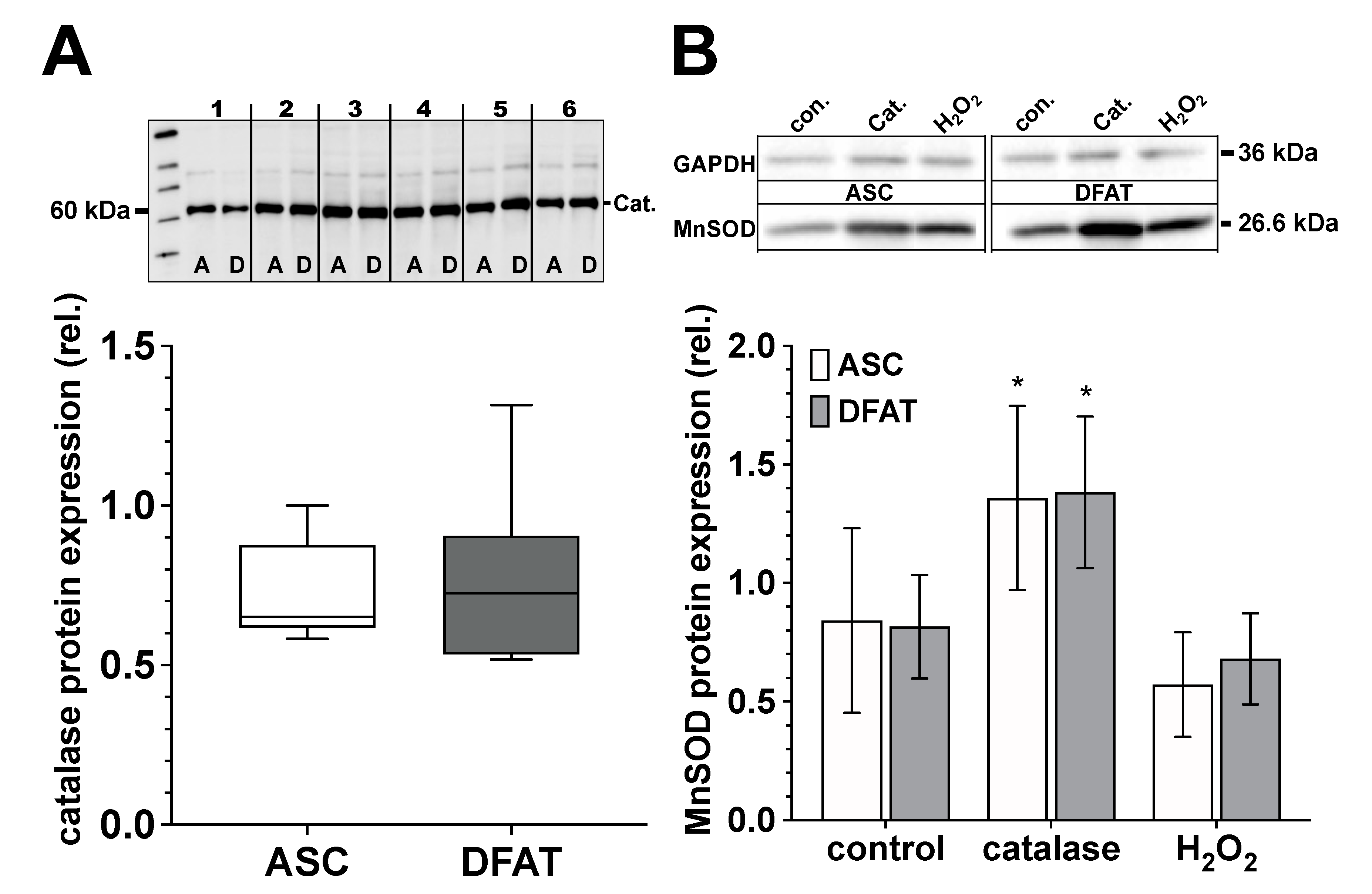 Biomedicines 10 03071 g006