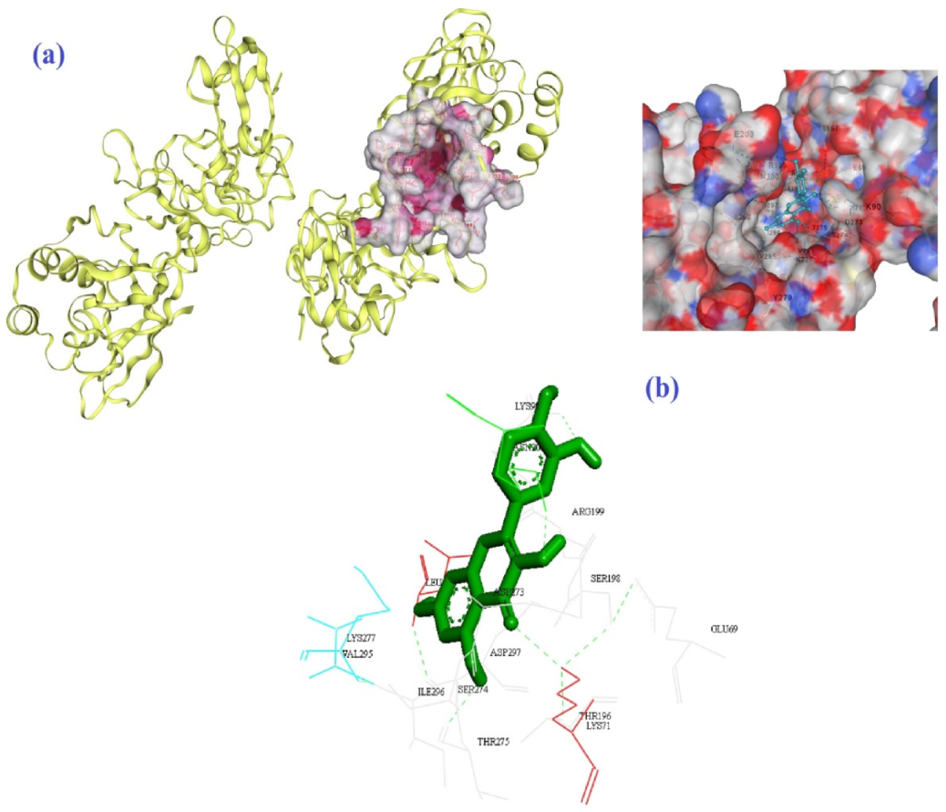 Biomedicines 10 03074 g006