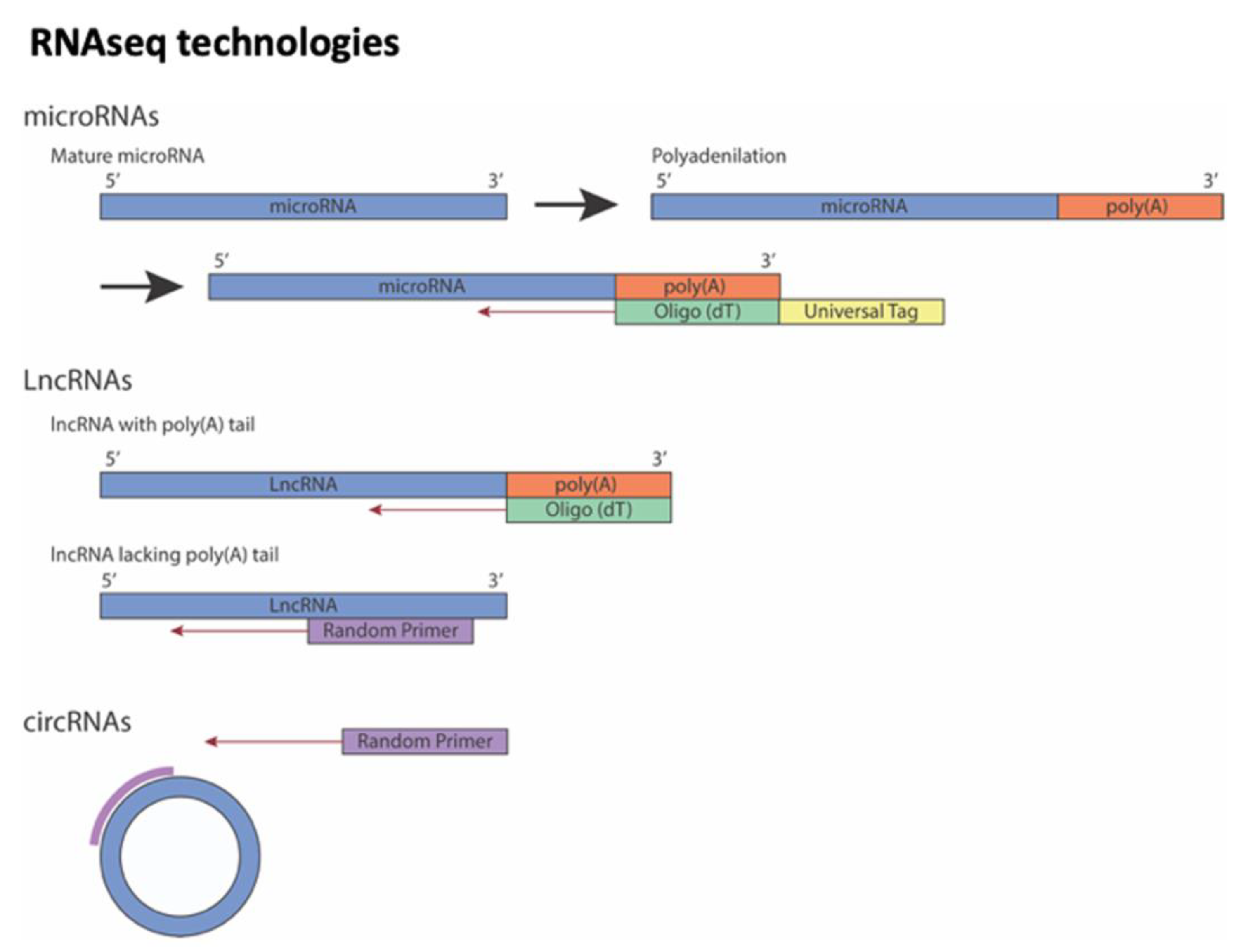 Biomedicines 10 03076 g001 Biomedicines 10 03076 g001