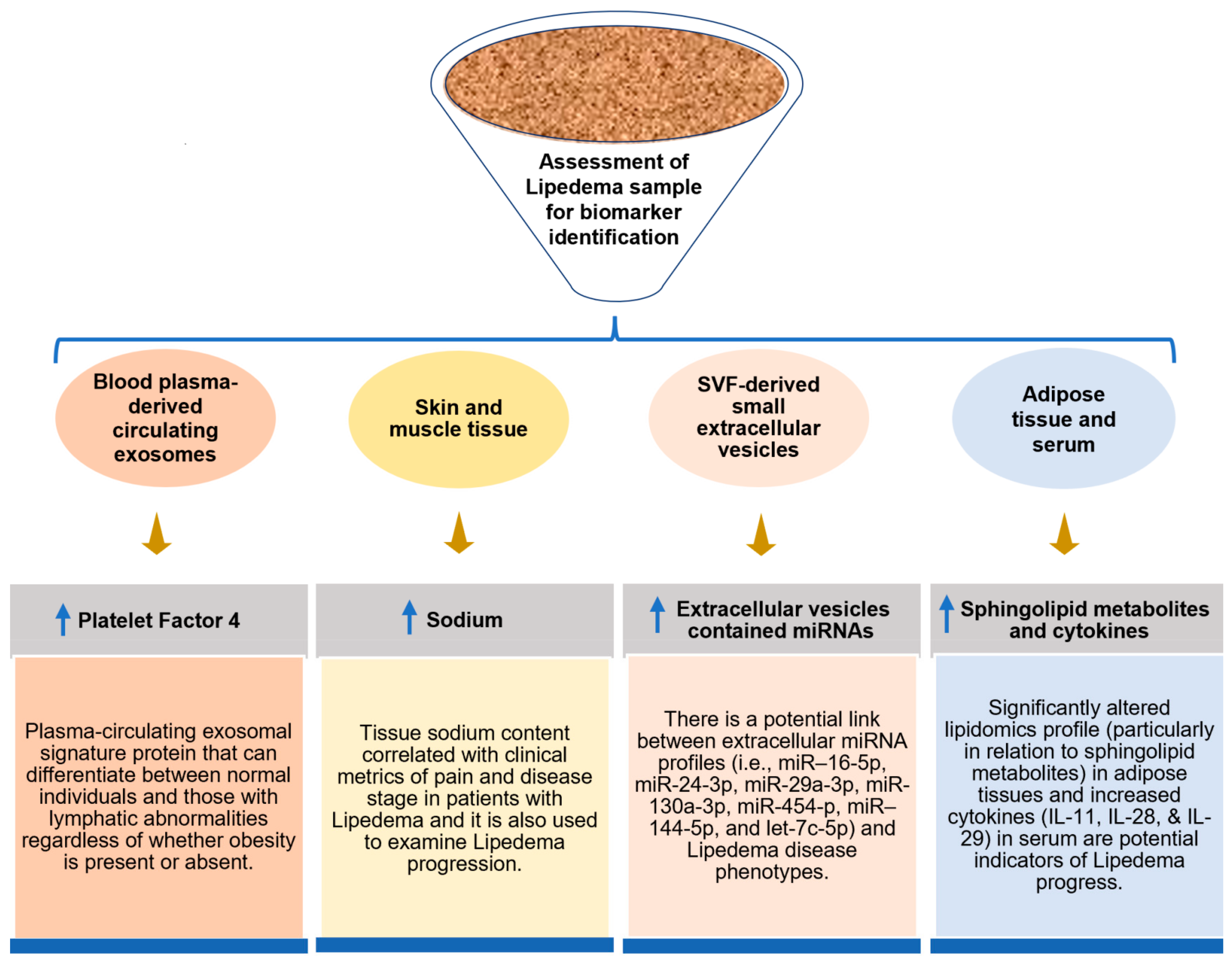 Biomedicines 10 03081 g004 Biomedicines 10 03081 g004