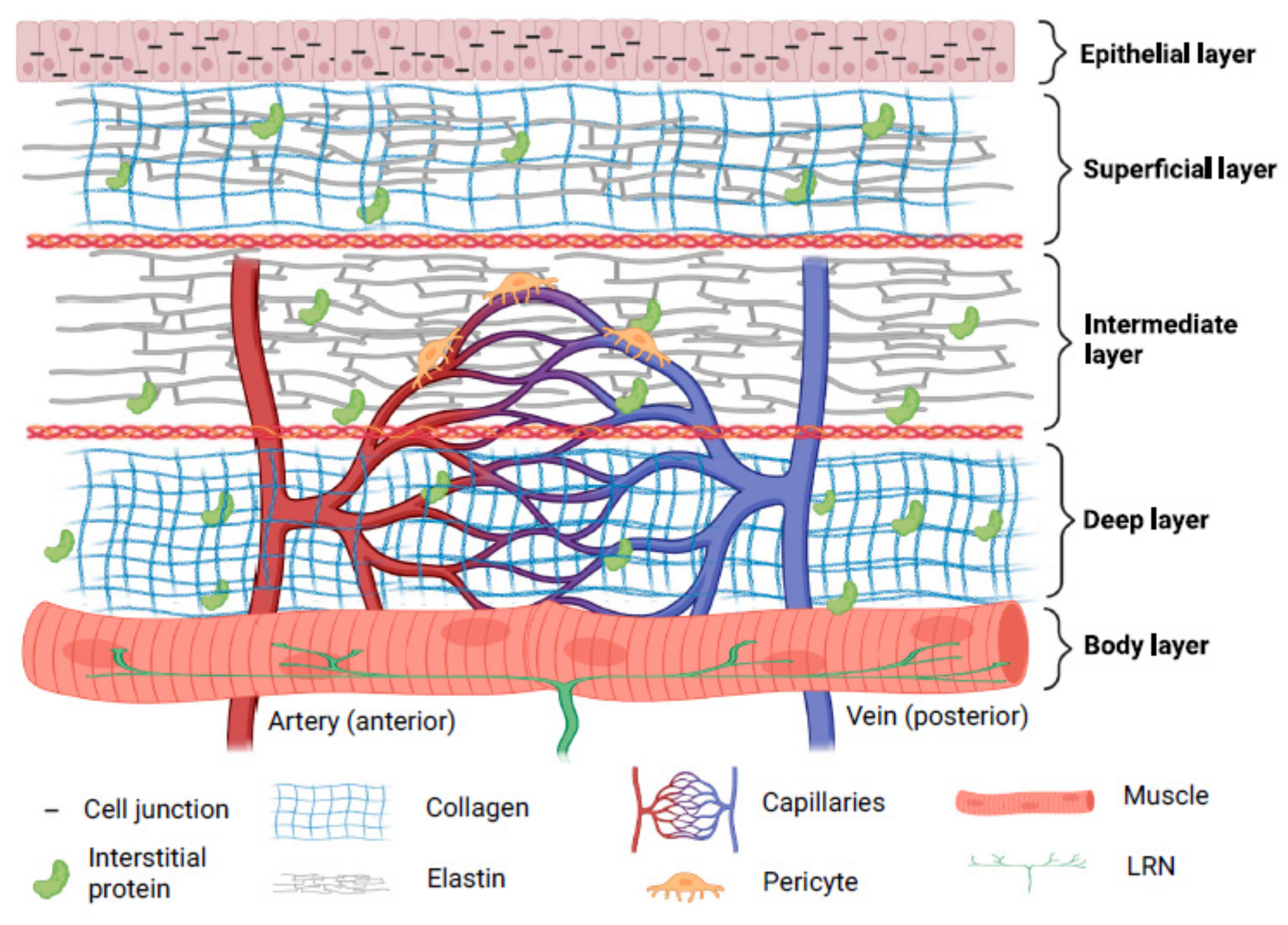 Biomedicines 10 03082 g001