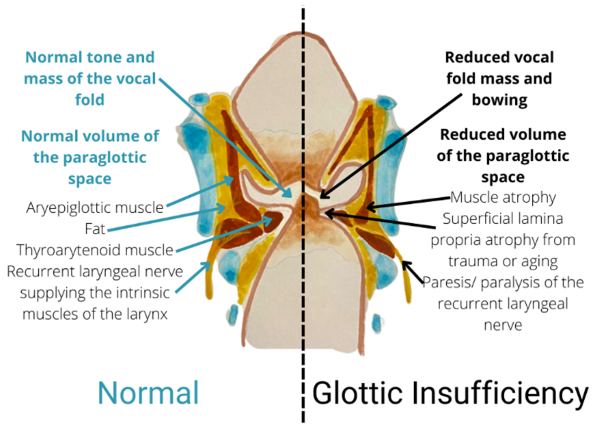 Biomedicines 10 03082 g002