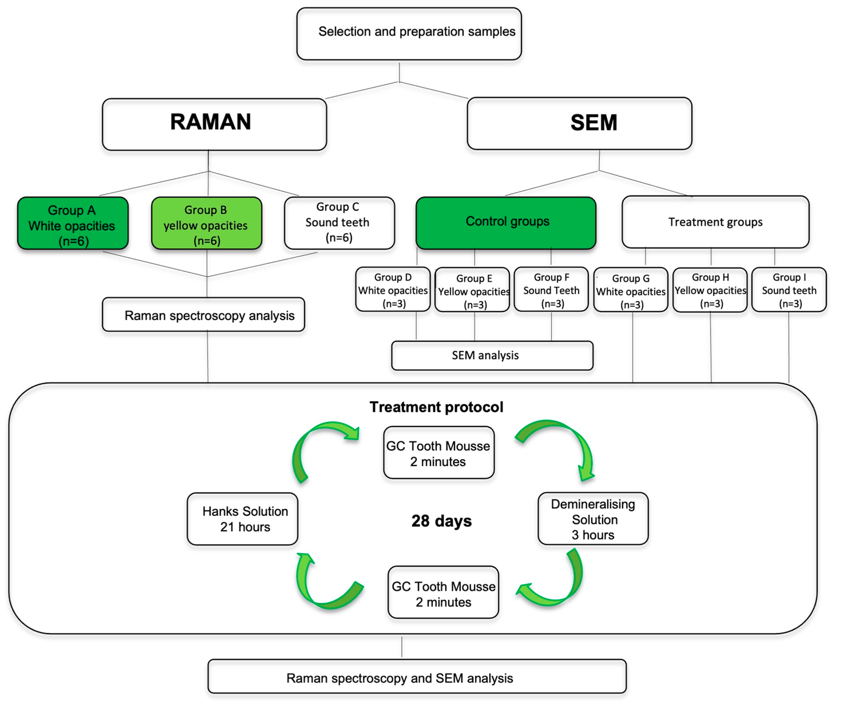 Biomedicines 10 03086 g001
