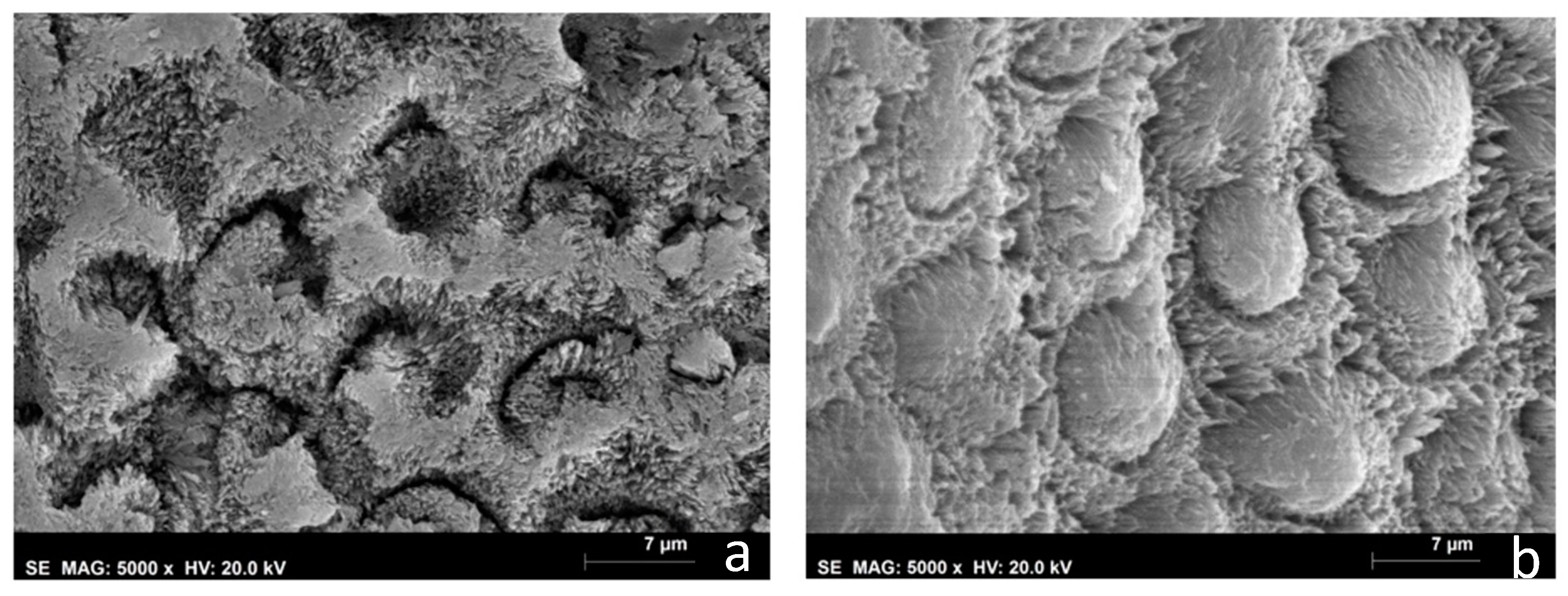 Biomedicines 10 03086 g005