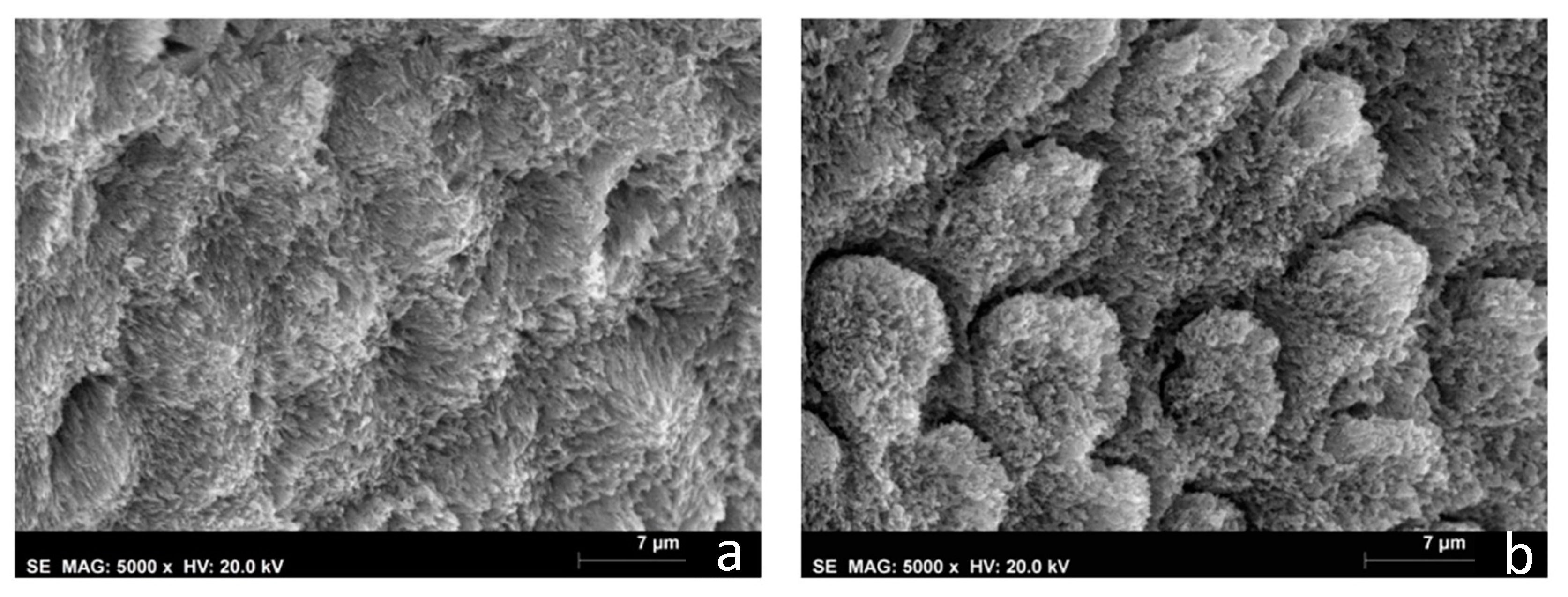 Biomedicines 10 03086 g006
