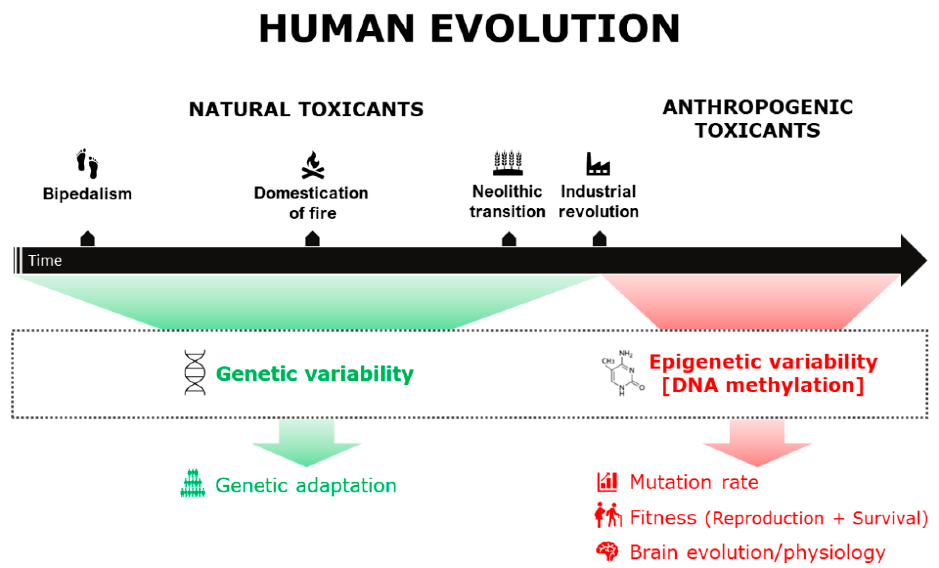 Biomedicines 10 03090 g001