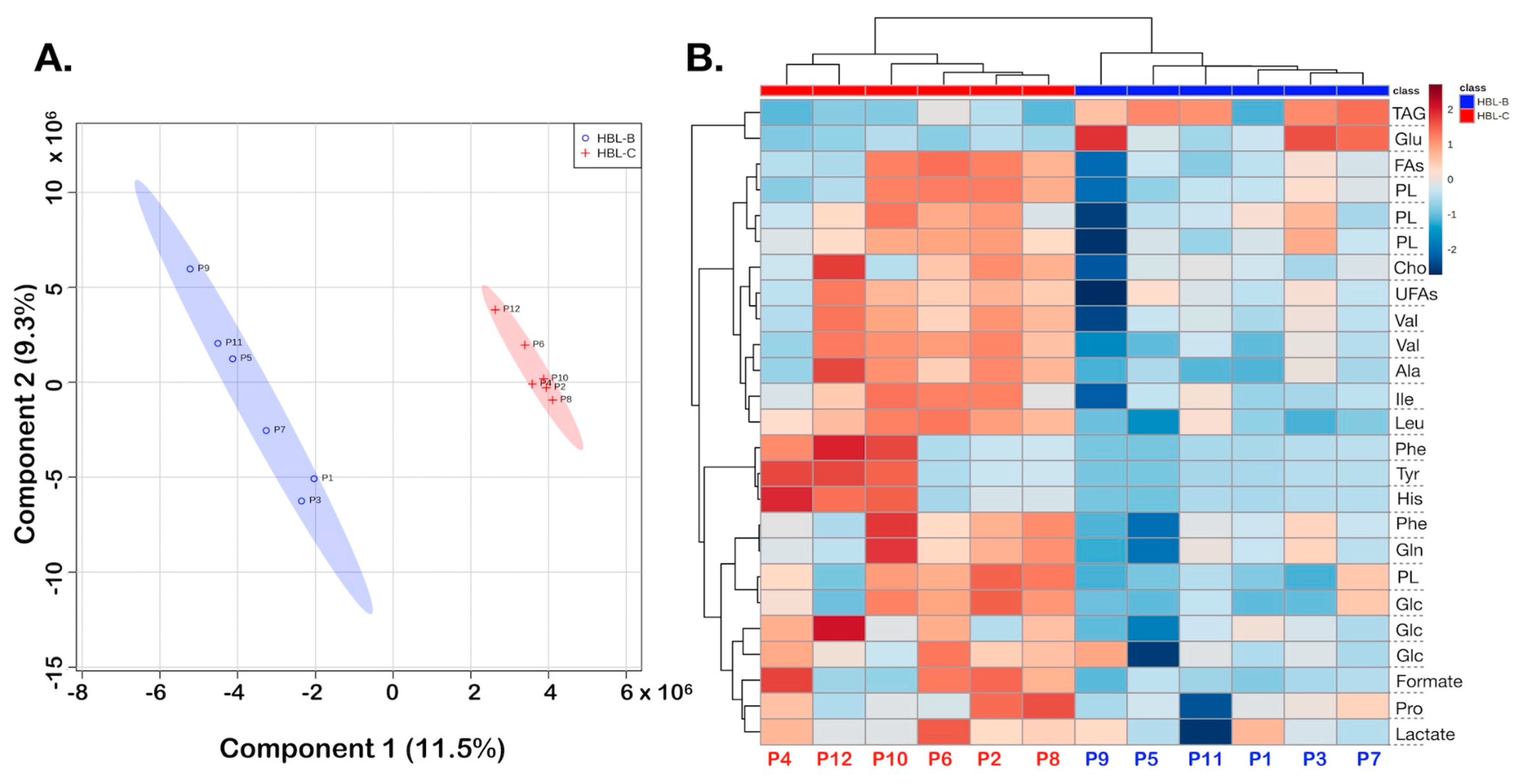 Biomedicines 10 03091 g004