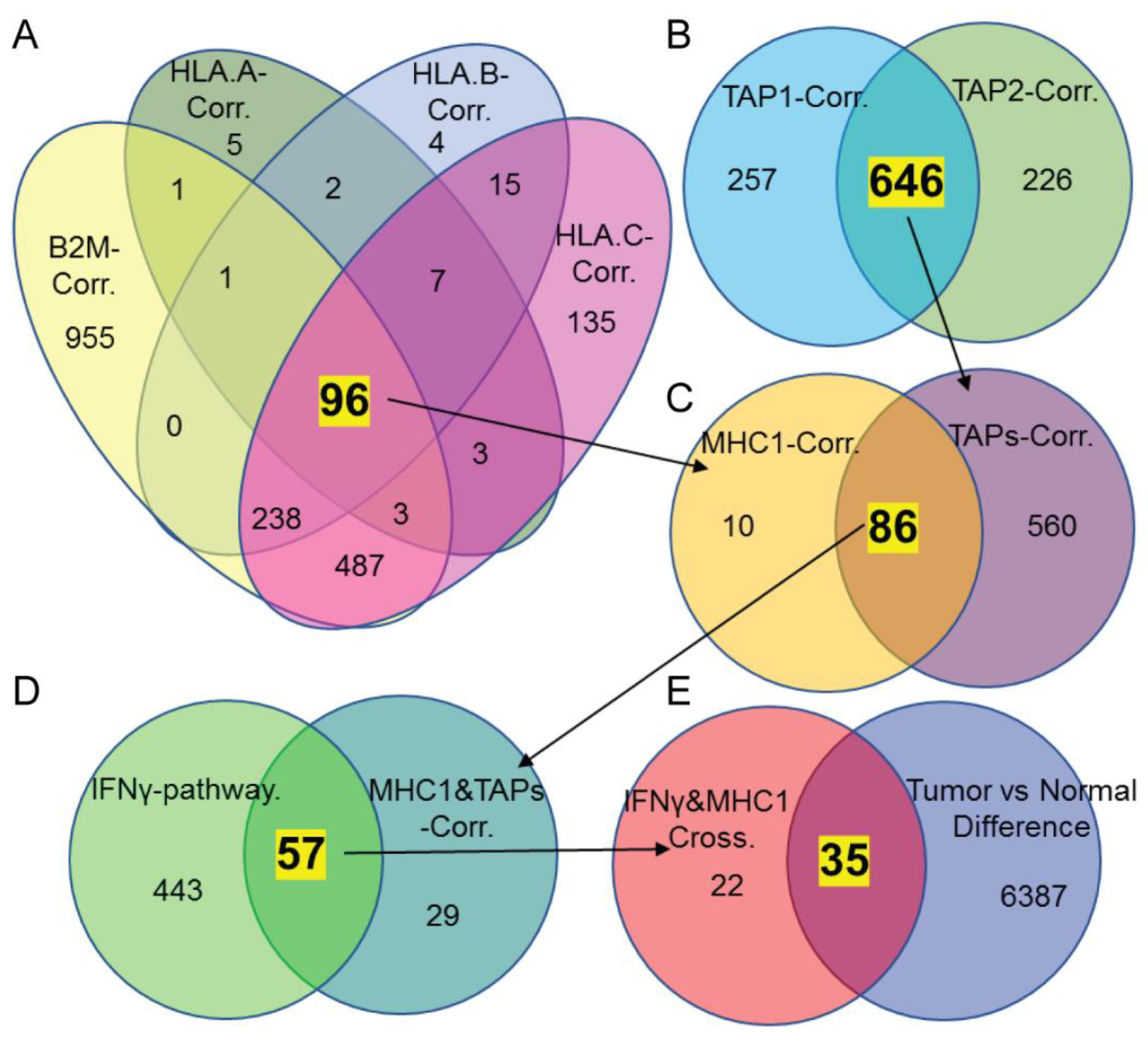 Biomedicines 10 03092 g002 Biomedicines 10 03092 g002