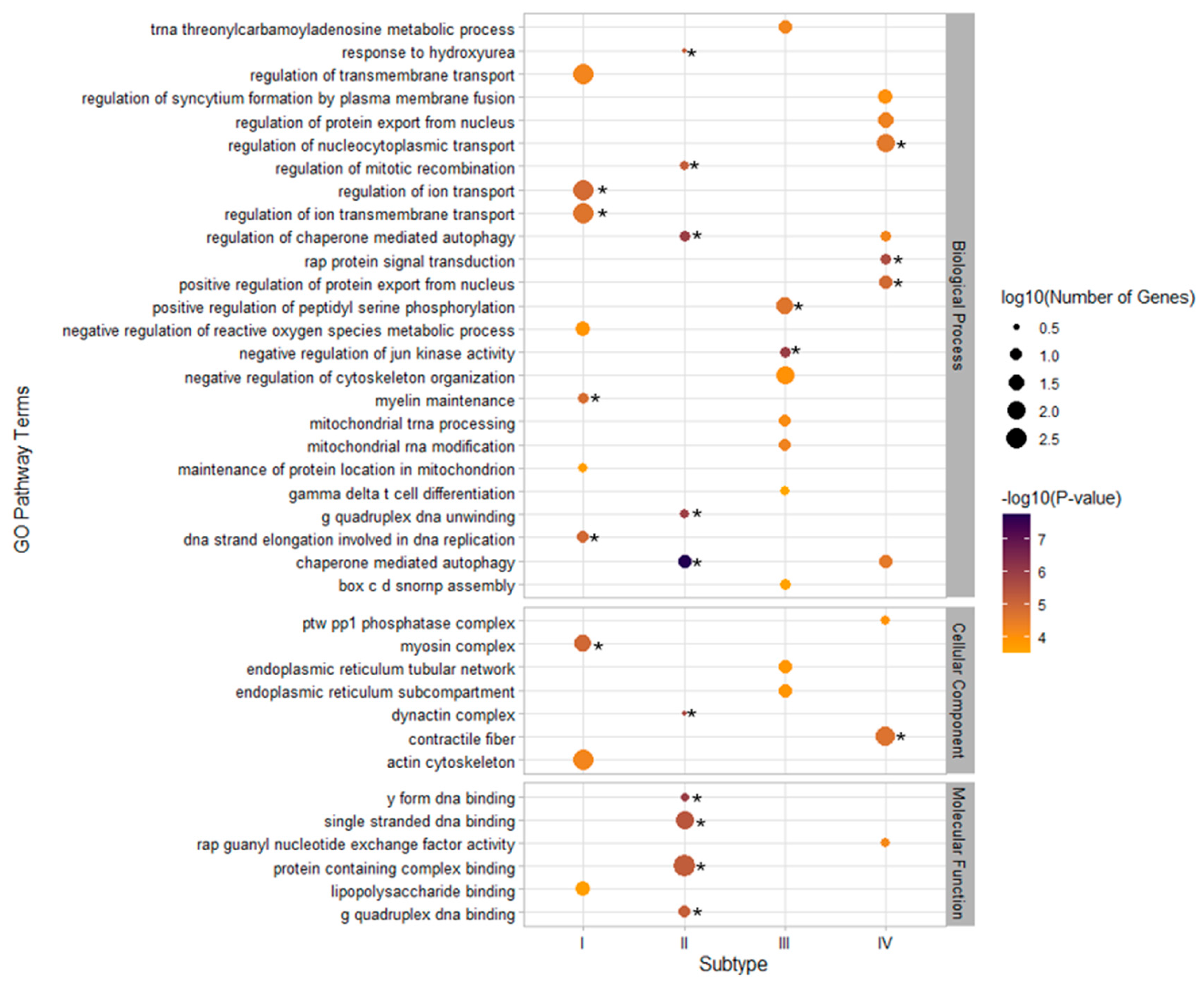 Biomedicines 10 03093 g004 Biomedicines 10 03093 g004