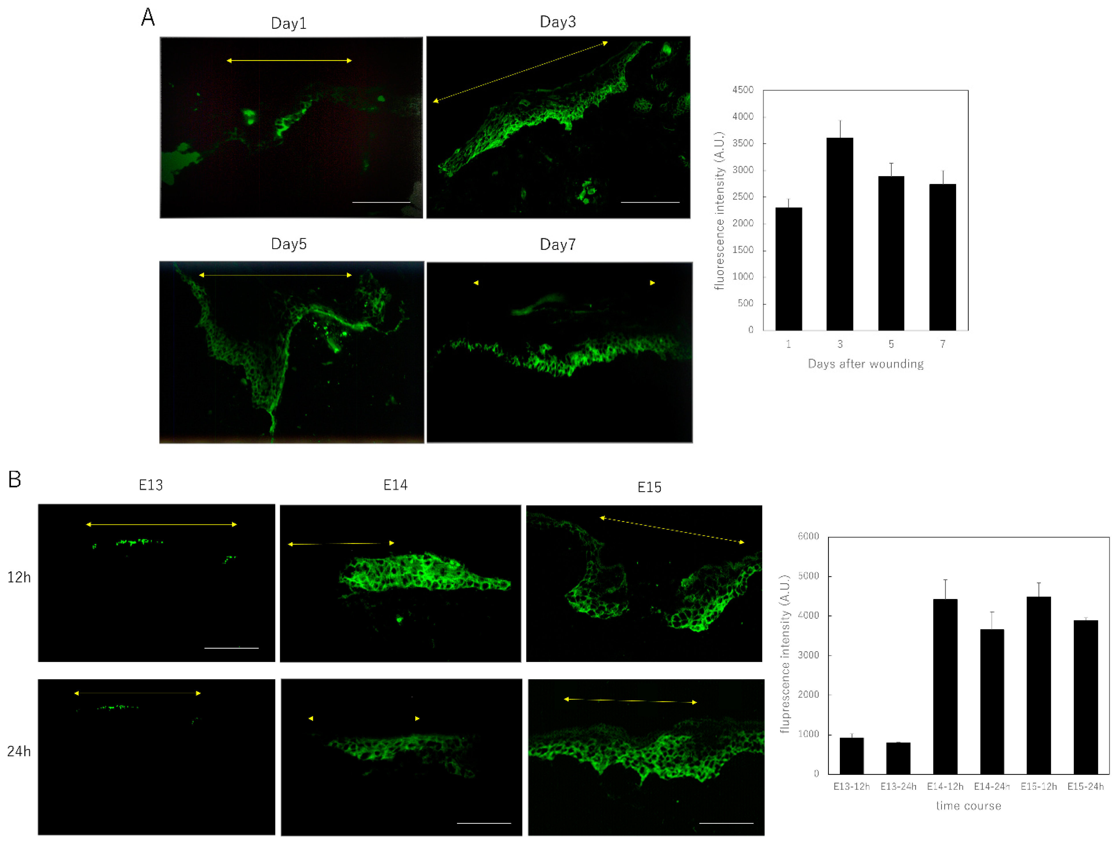 Biomedicines 10 03099 g001a