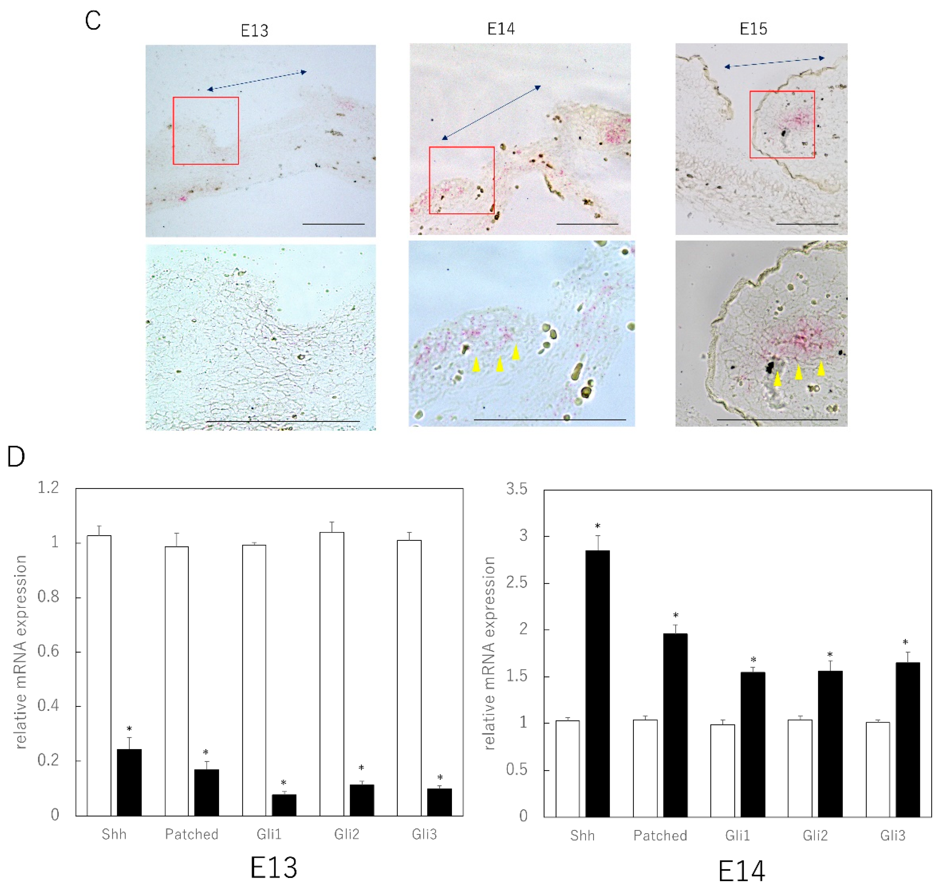 Biomedicines 10 03099 g001b