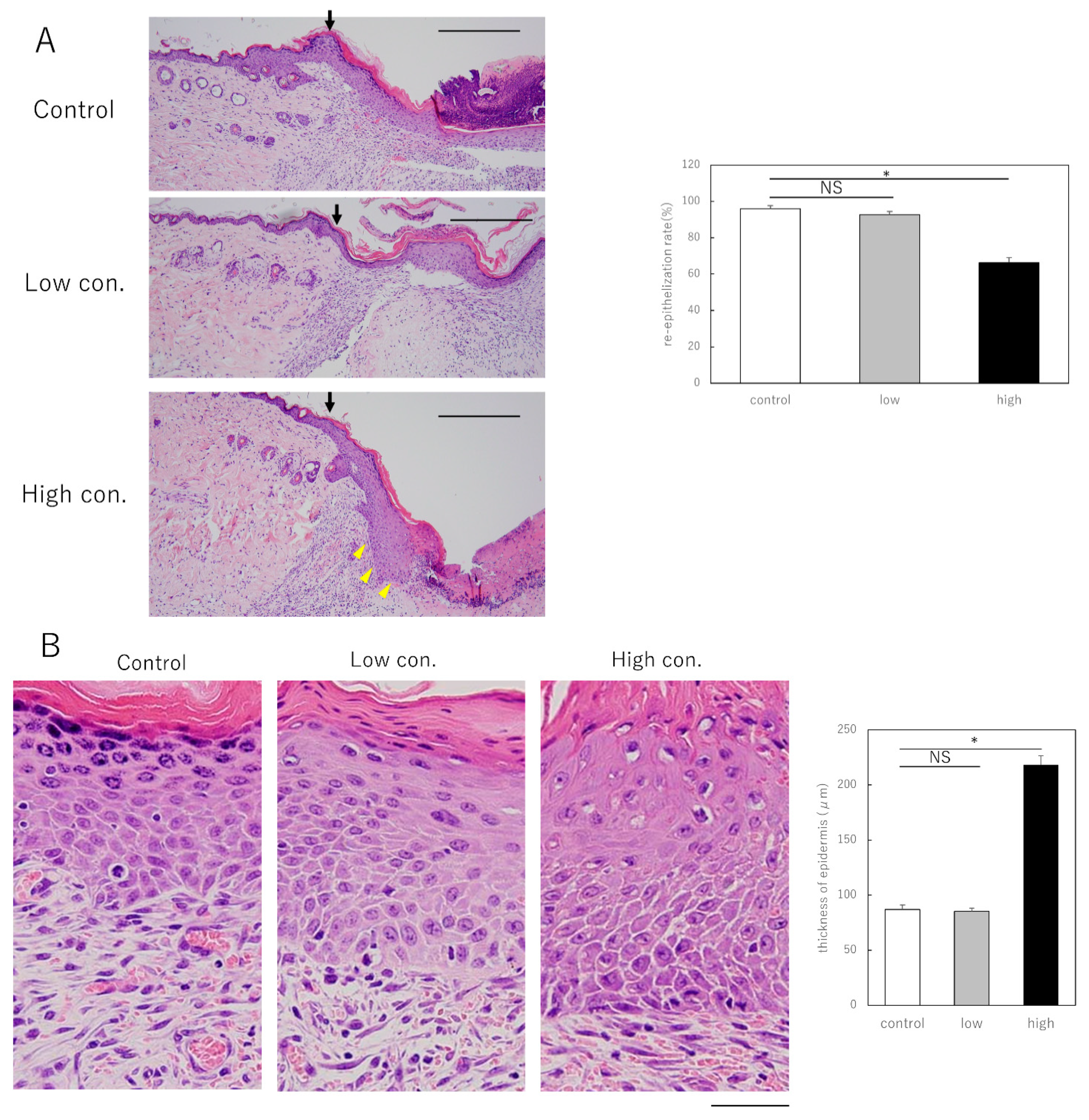 Biomedicines 10 03099 g002