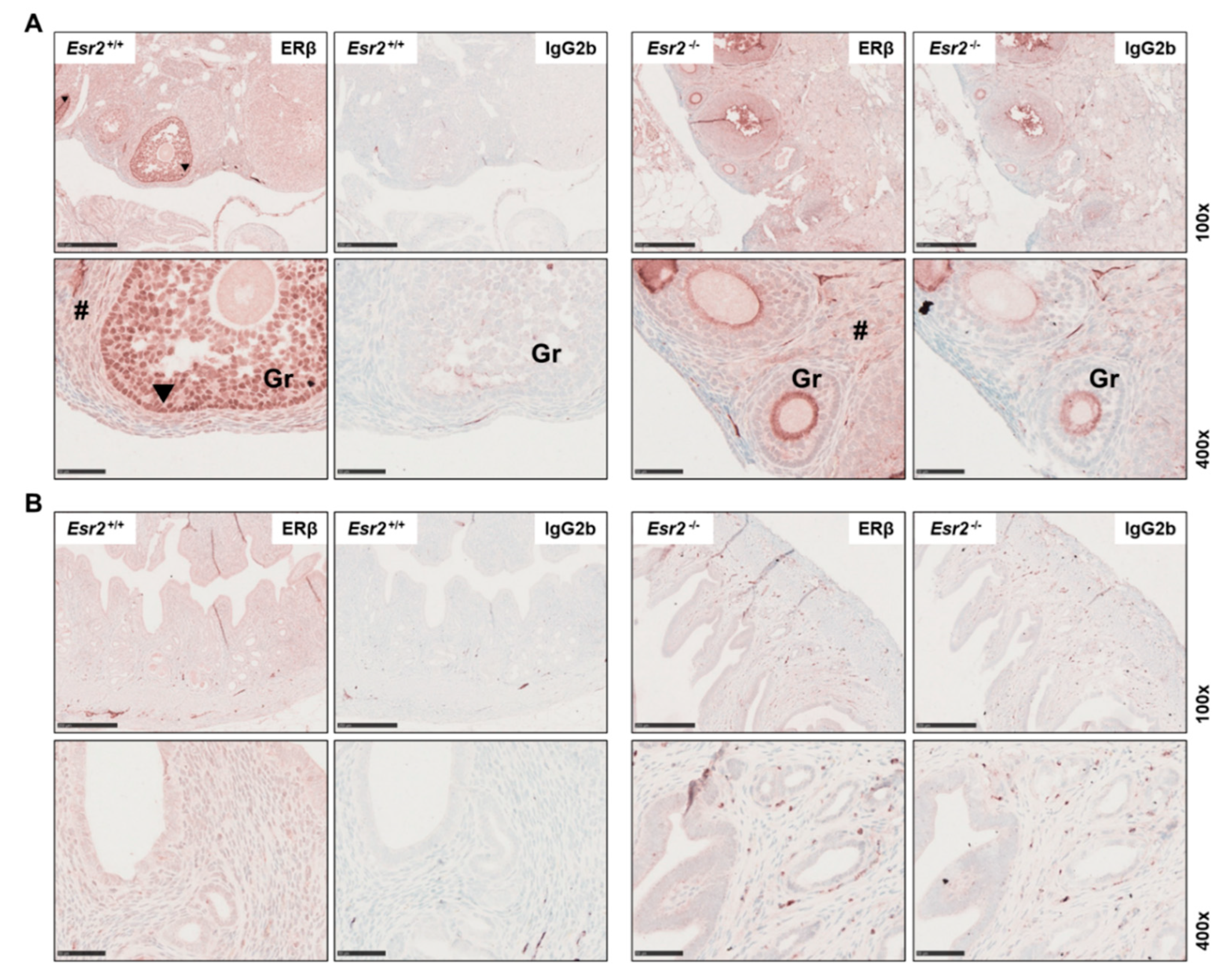 Biomedicines 10 03100 g003