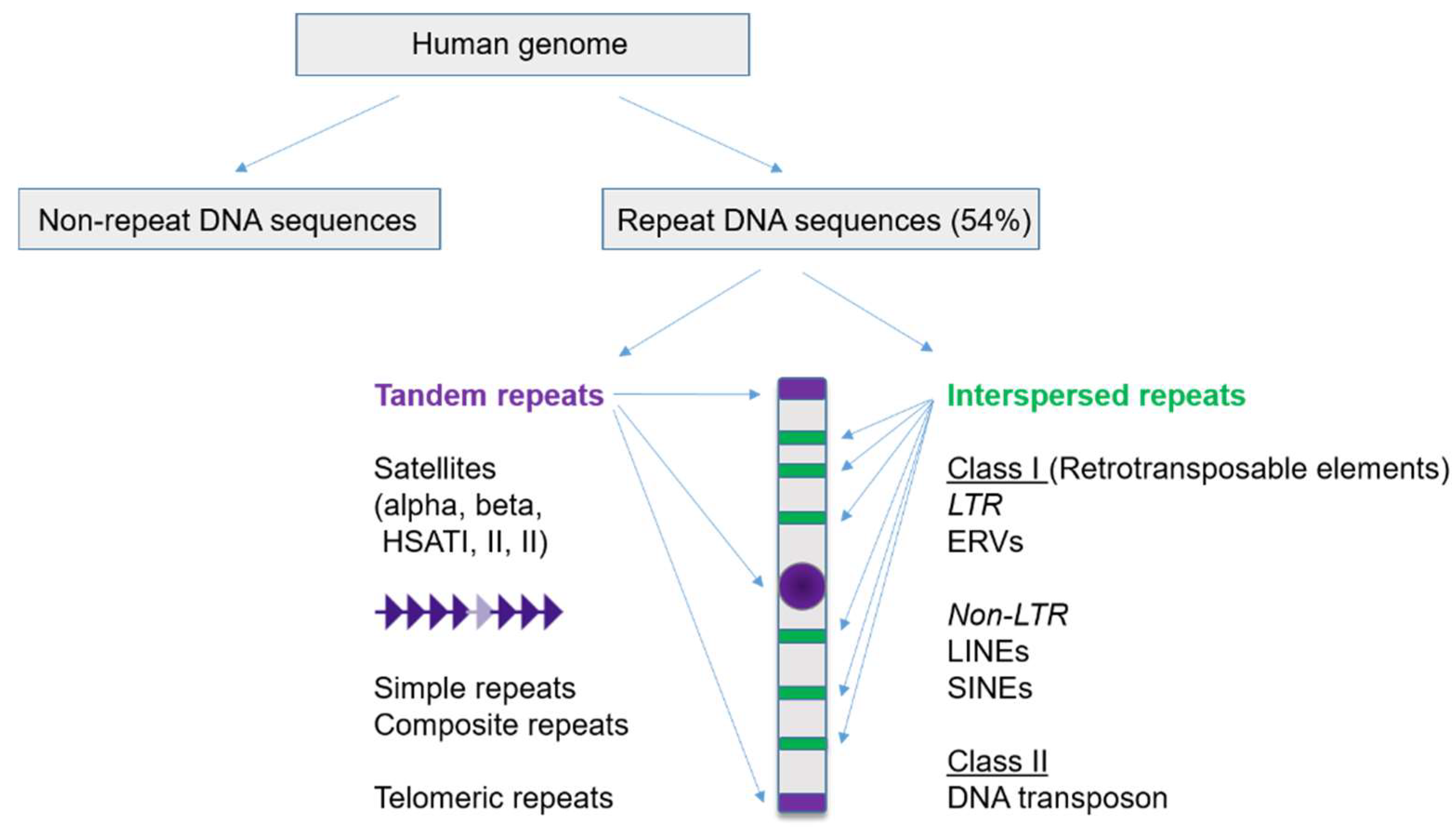 Biomedicines 10 03101 g001 Biomedicines 10 03101 g001