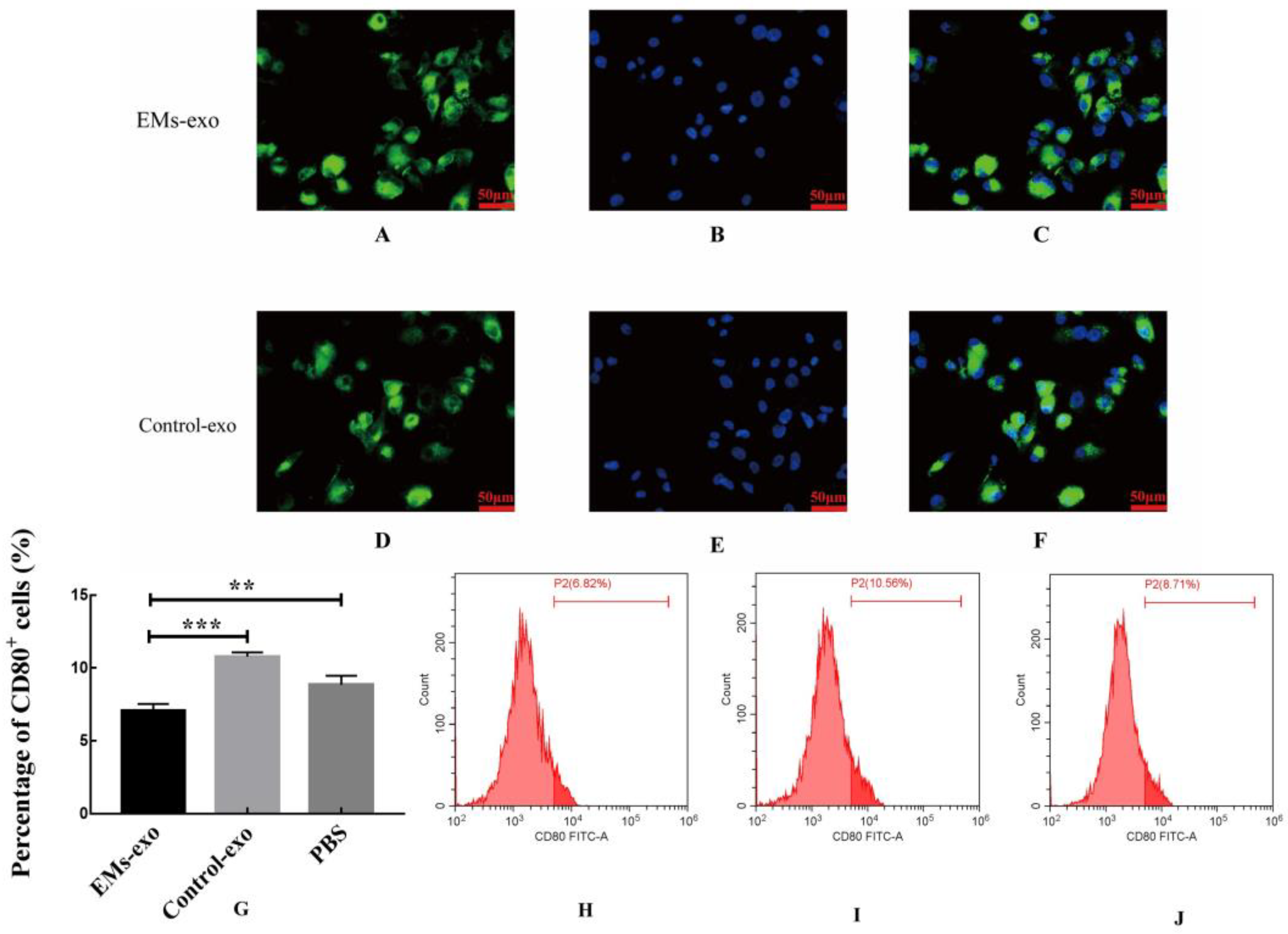Biomedicines 10 03110 g002