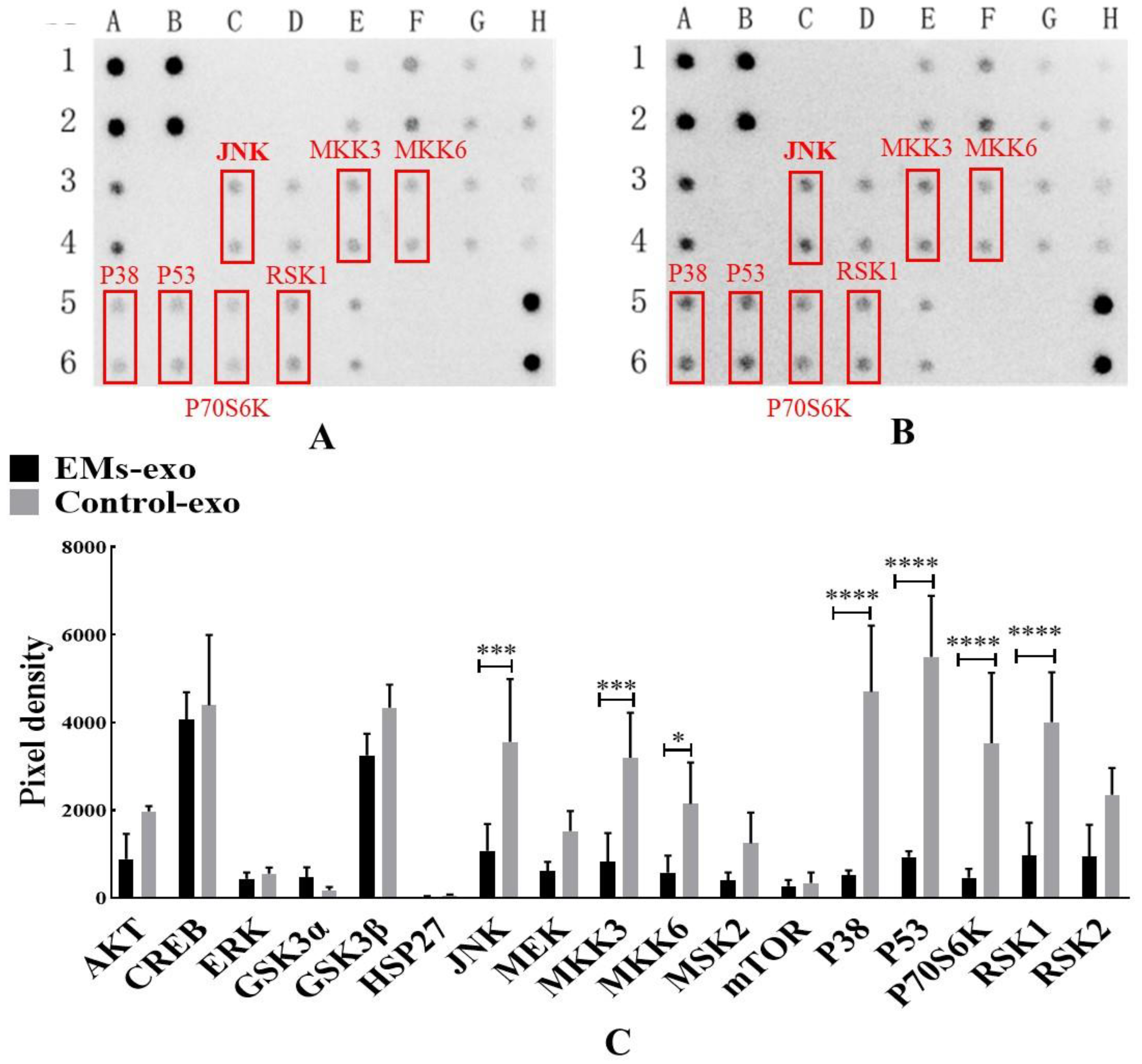 Biomedicines 10 03110 g004