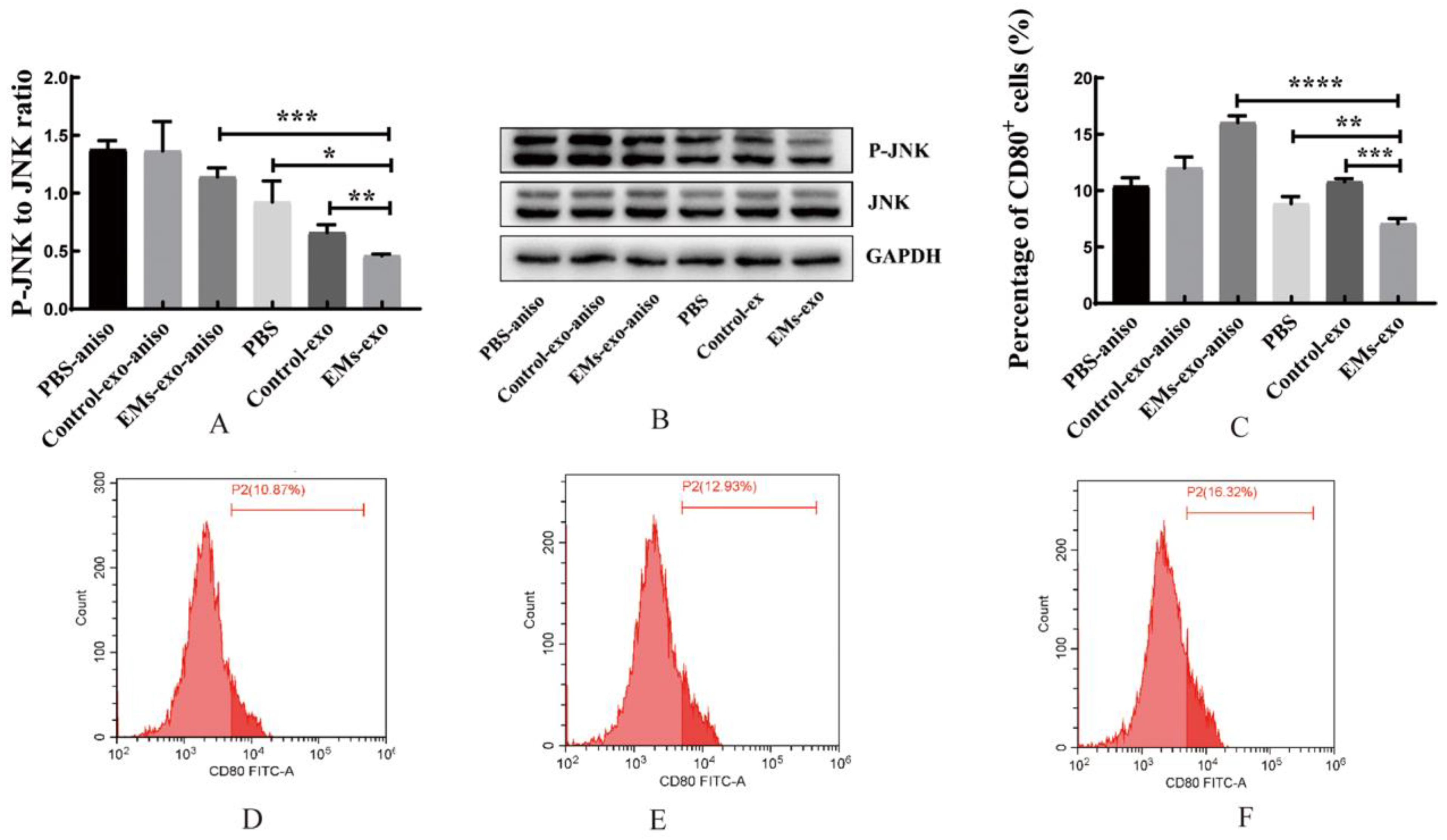 Biomedicines 10 03110 g005