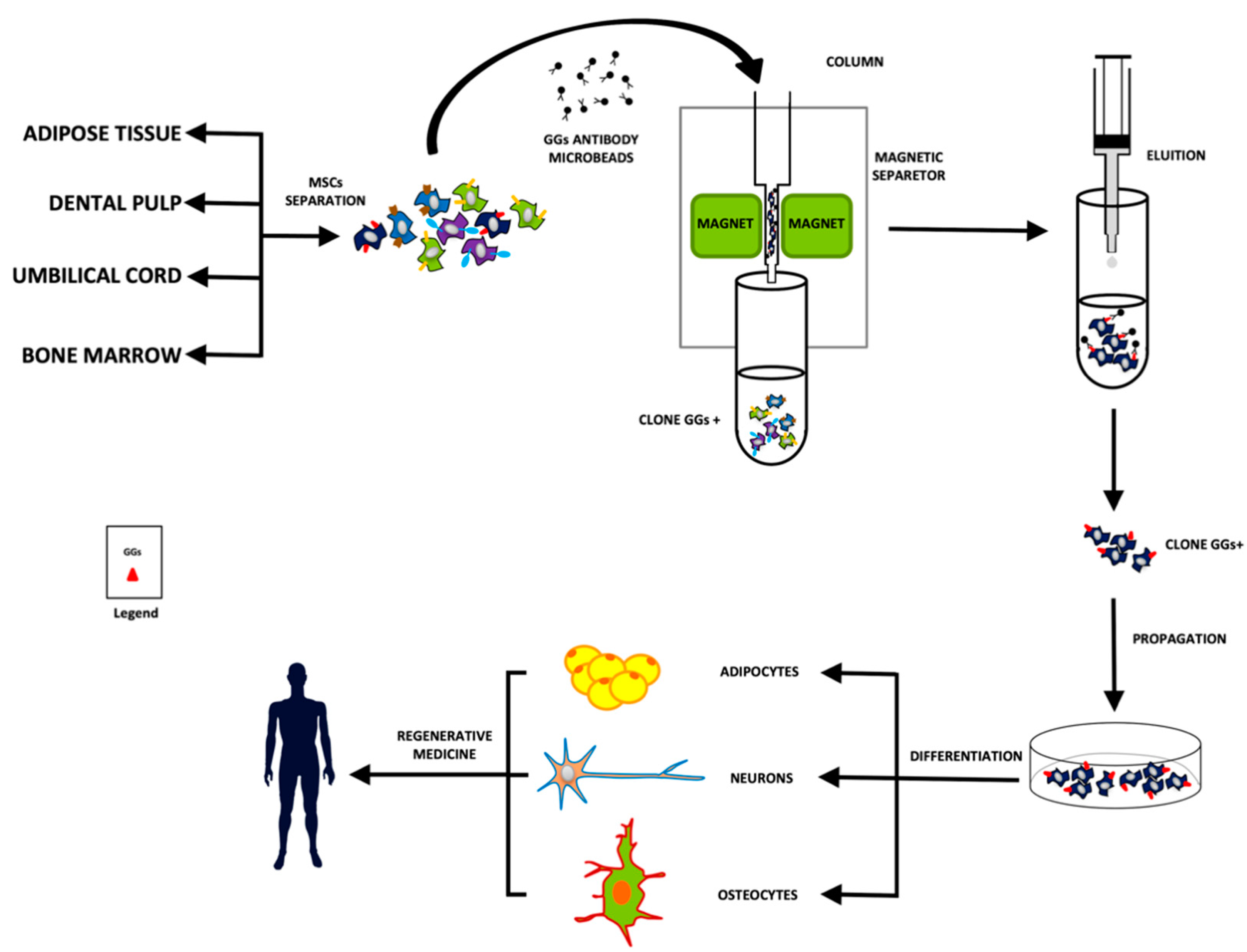 Biomedicines 10 03112 g002 Biomedicines 10 03112 g002