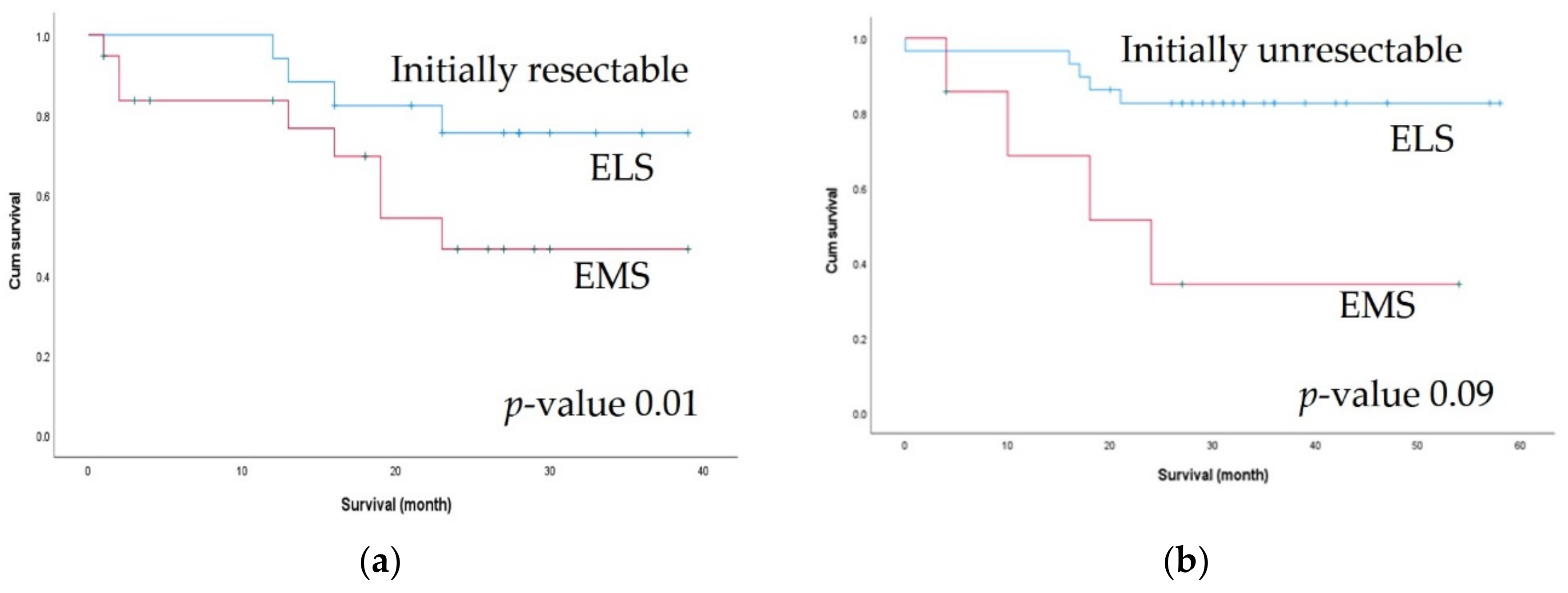 Biomedicines 10 03114 g003 Biomedicines 10 03114 g003