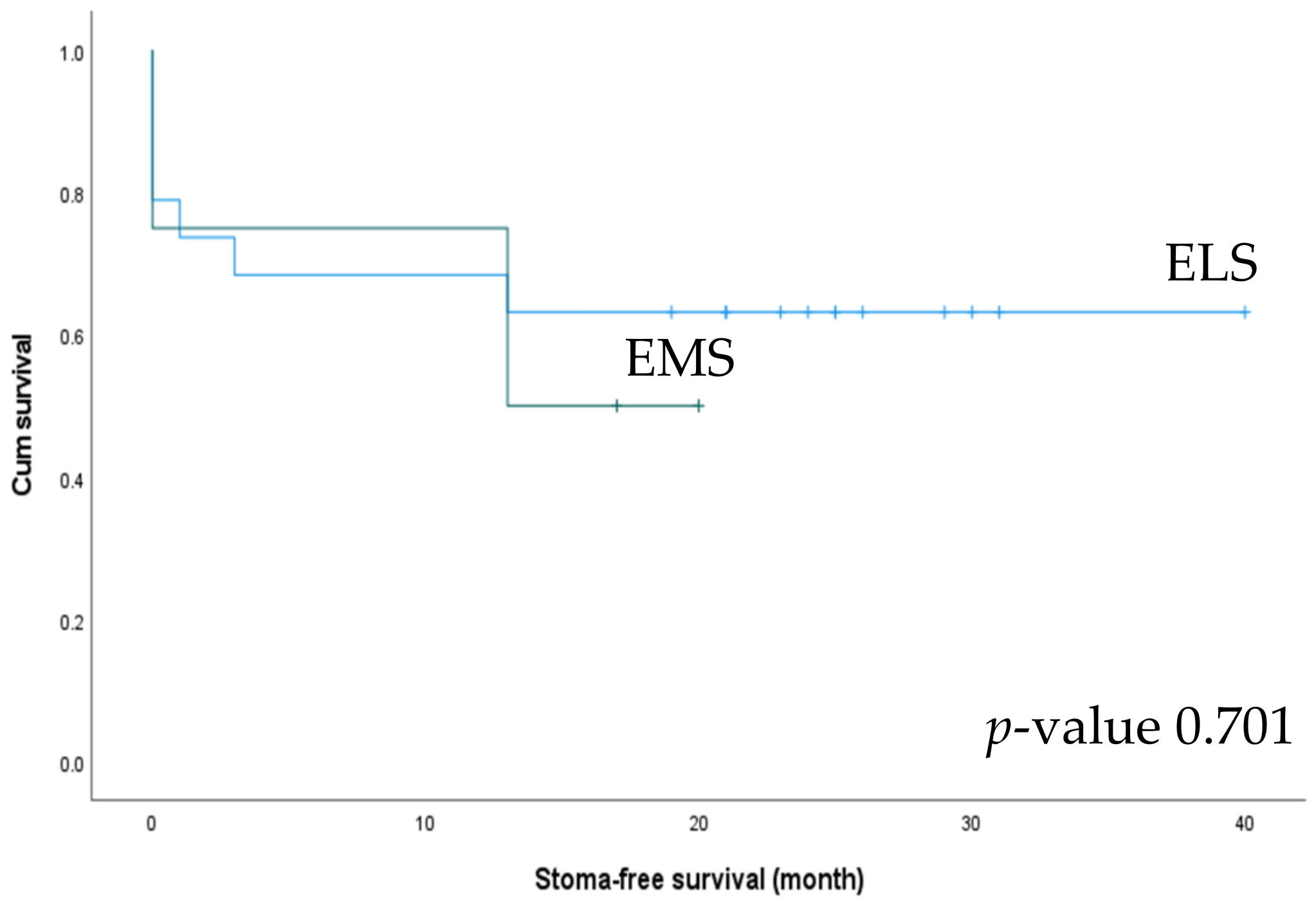 Biomedicines 10 03114 g006 Biomedicines 10 03114 g006