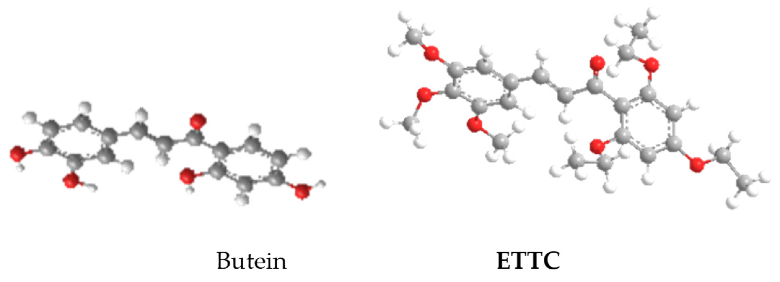 Biomedicines 10 03120 g002 Biomedicines 10 03120 g002