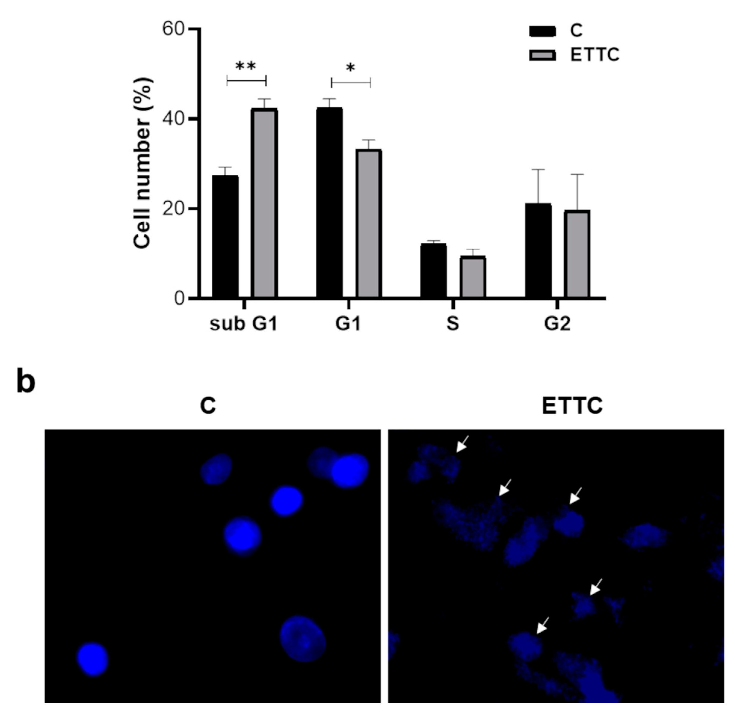 Biomedicines 10 03120 g004b Biomedicines 10 03120 g004b