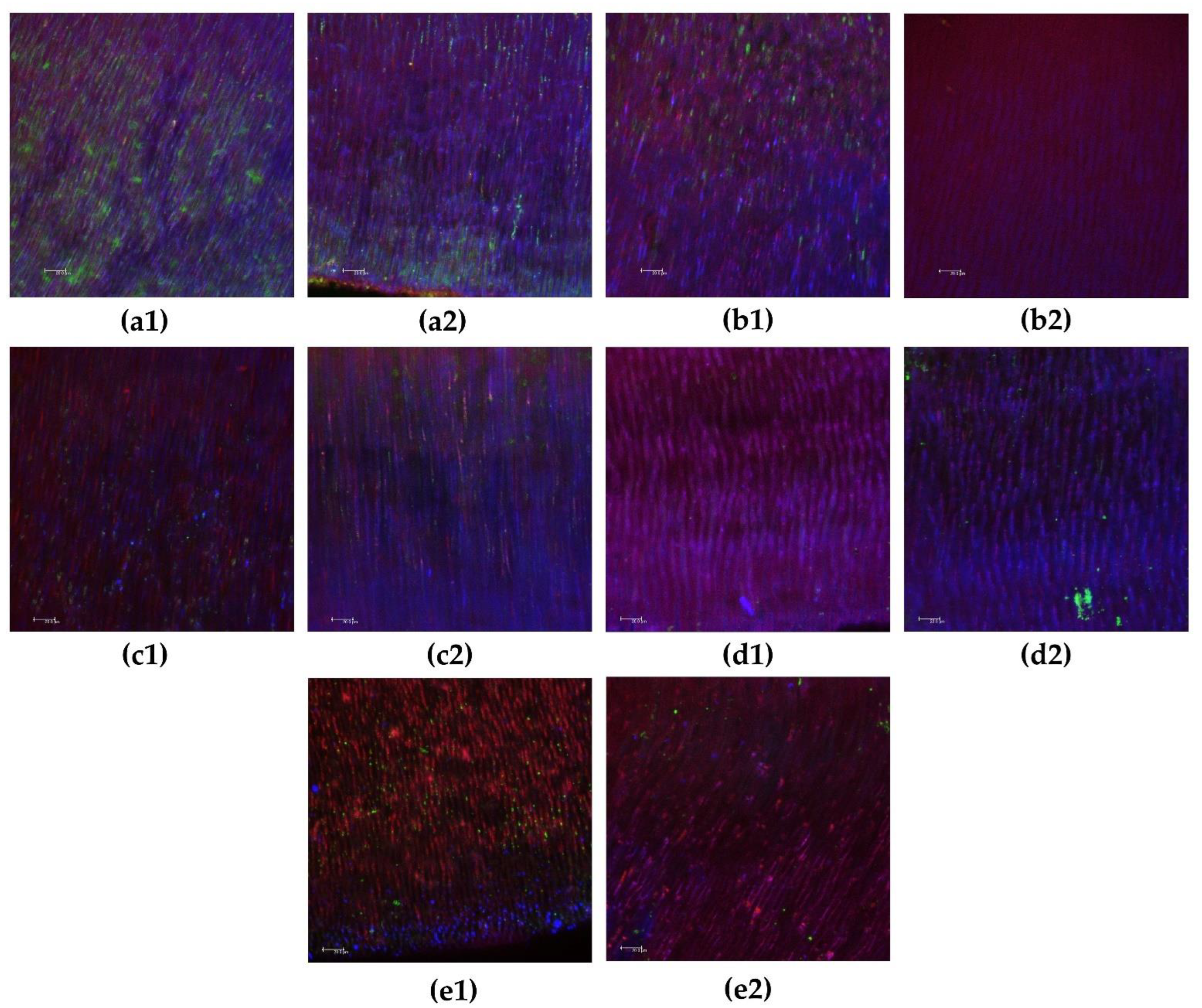 Biomedicines 10 03123 g003 Biomedicines 10 03123 g003
