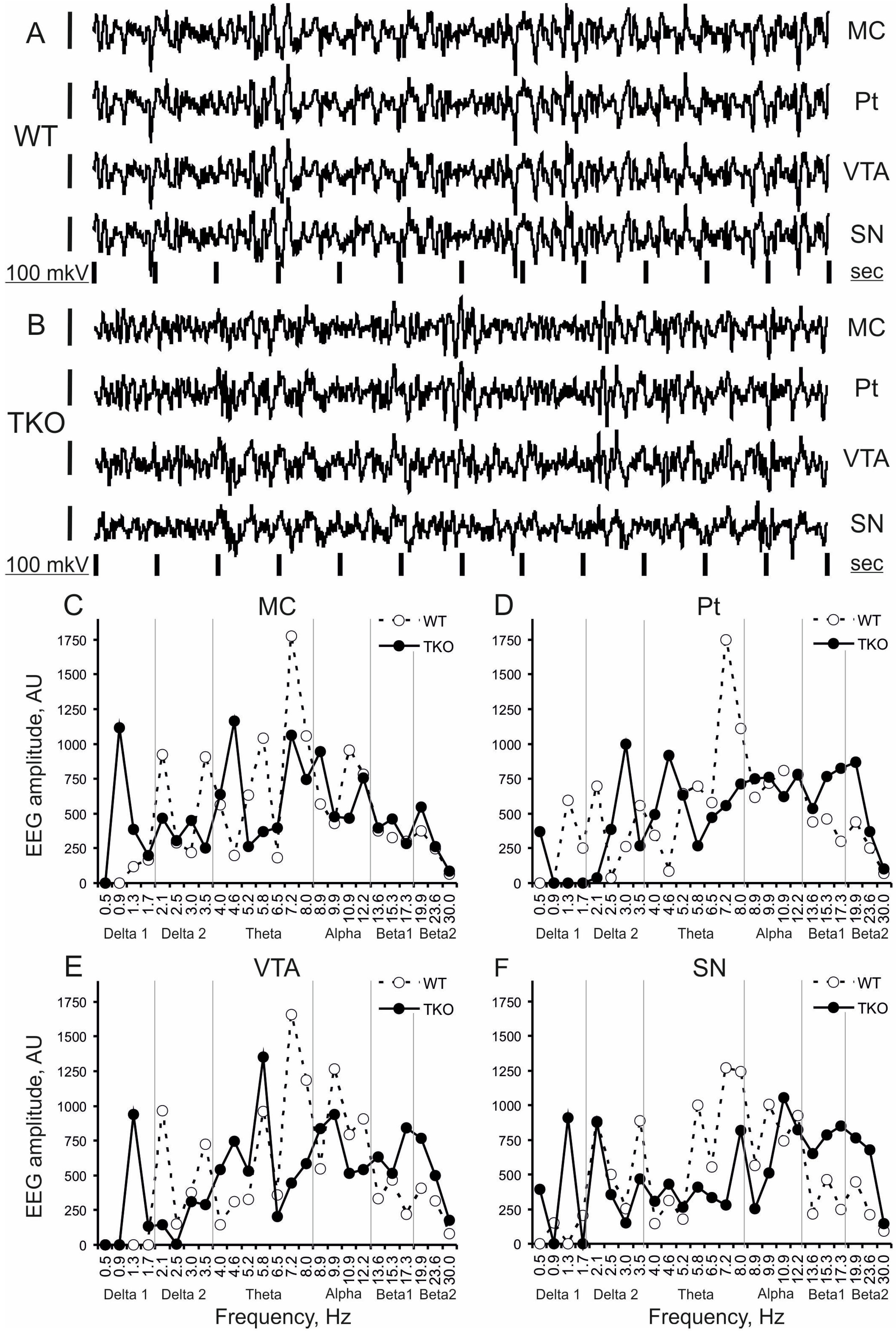 Biomedicines 10 03128 g001 Biomedicines 10 03128 g001