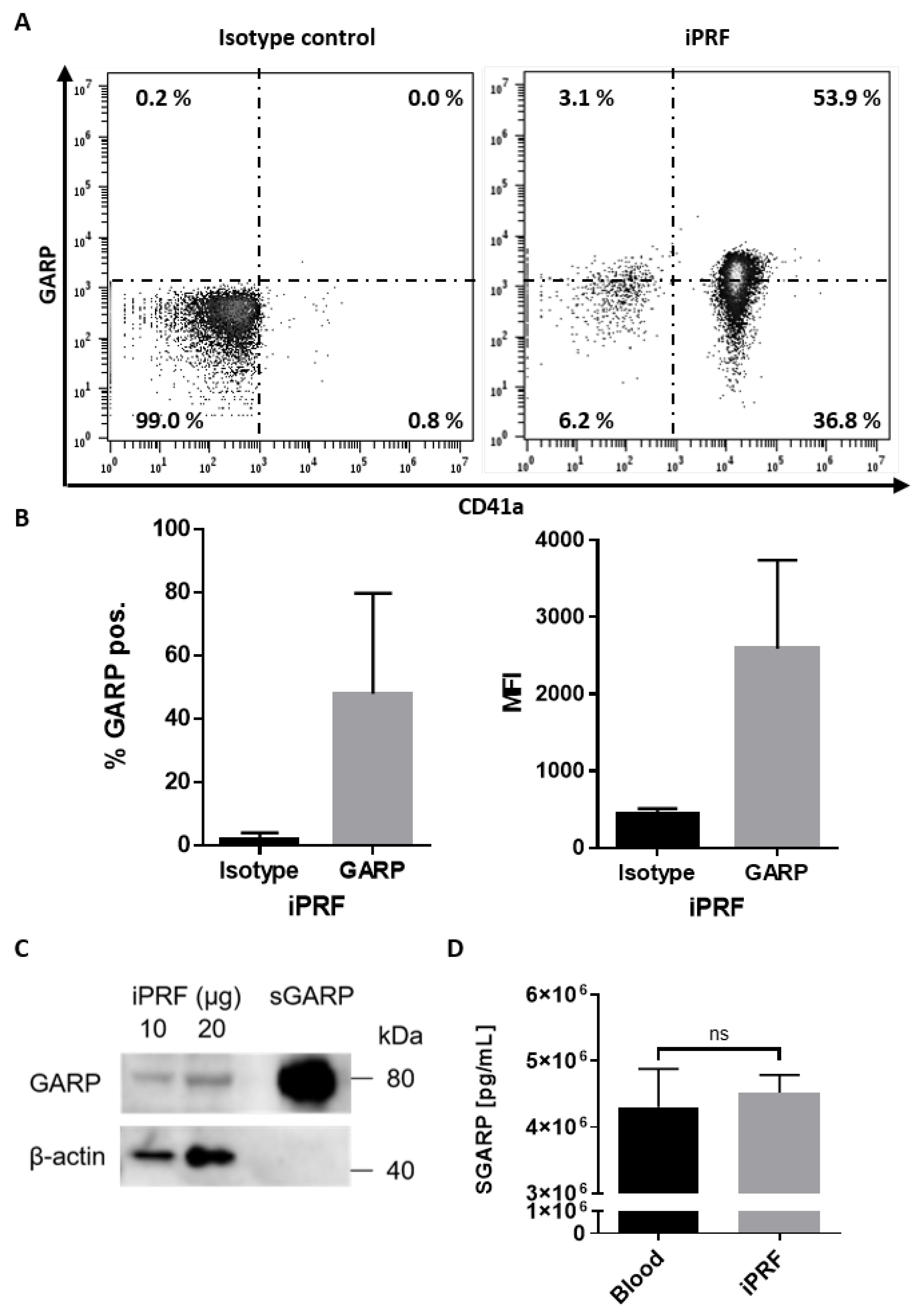 Biomedicines 10 03136 g001 Biomedicines 10 03136 g001