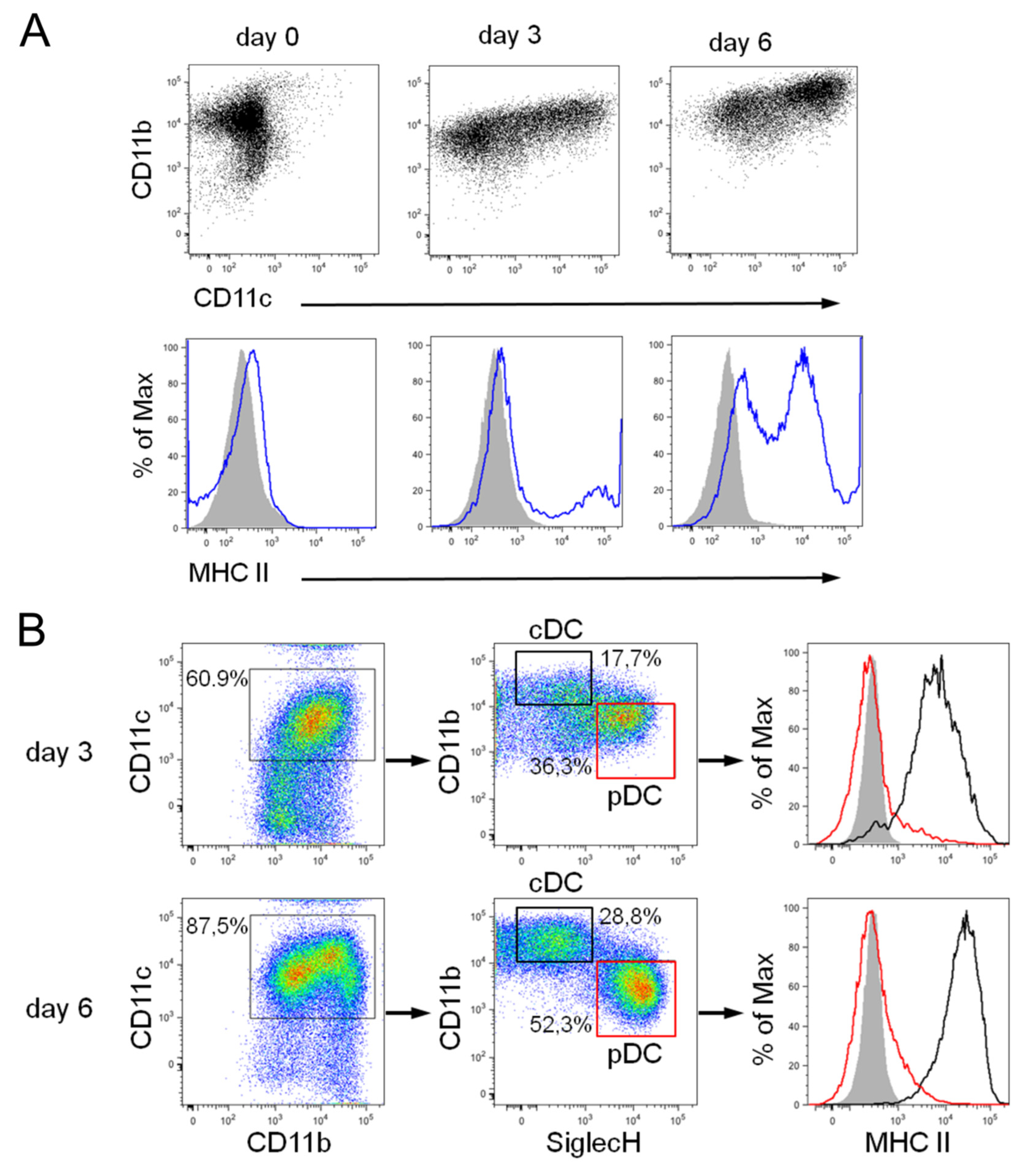 Biomedicines 10 03137 g002
