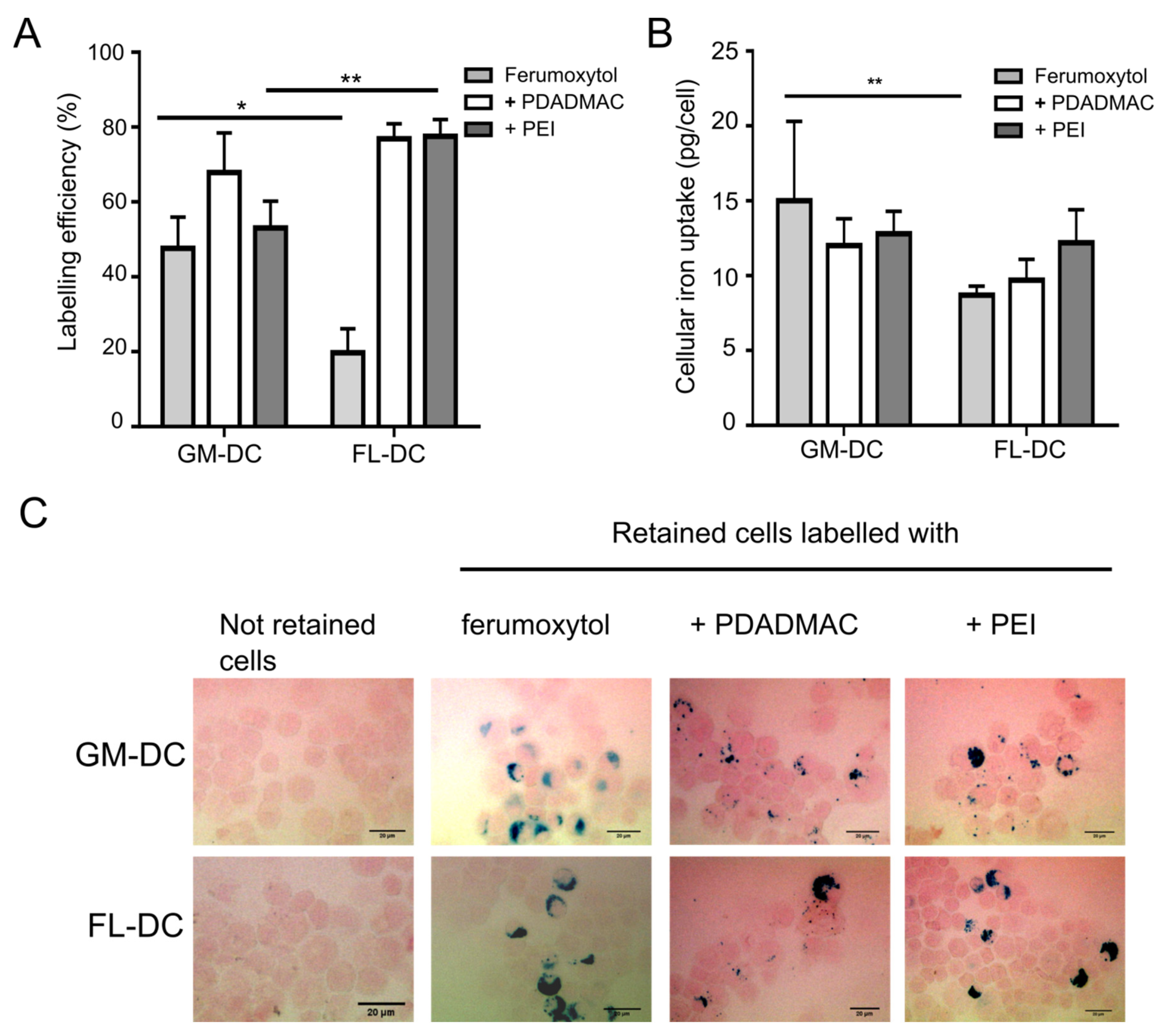 Biomedicines 10 03137 g003