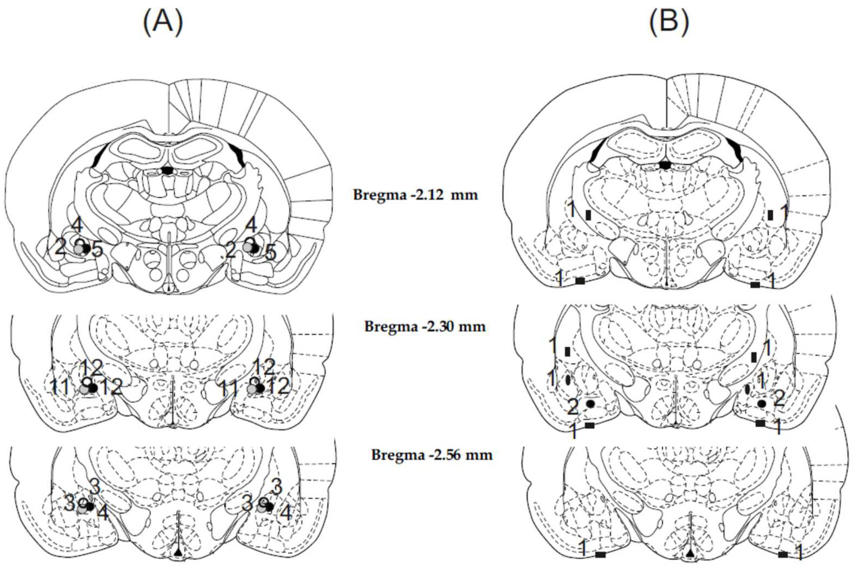 Biomedicines 10 03138 g001 Biomedicines 10 03138 g001