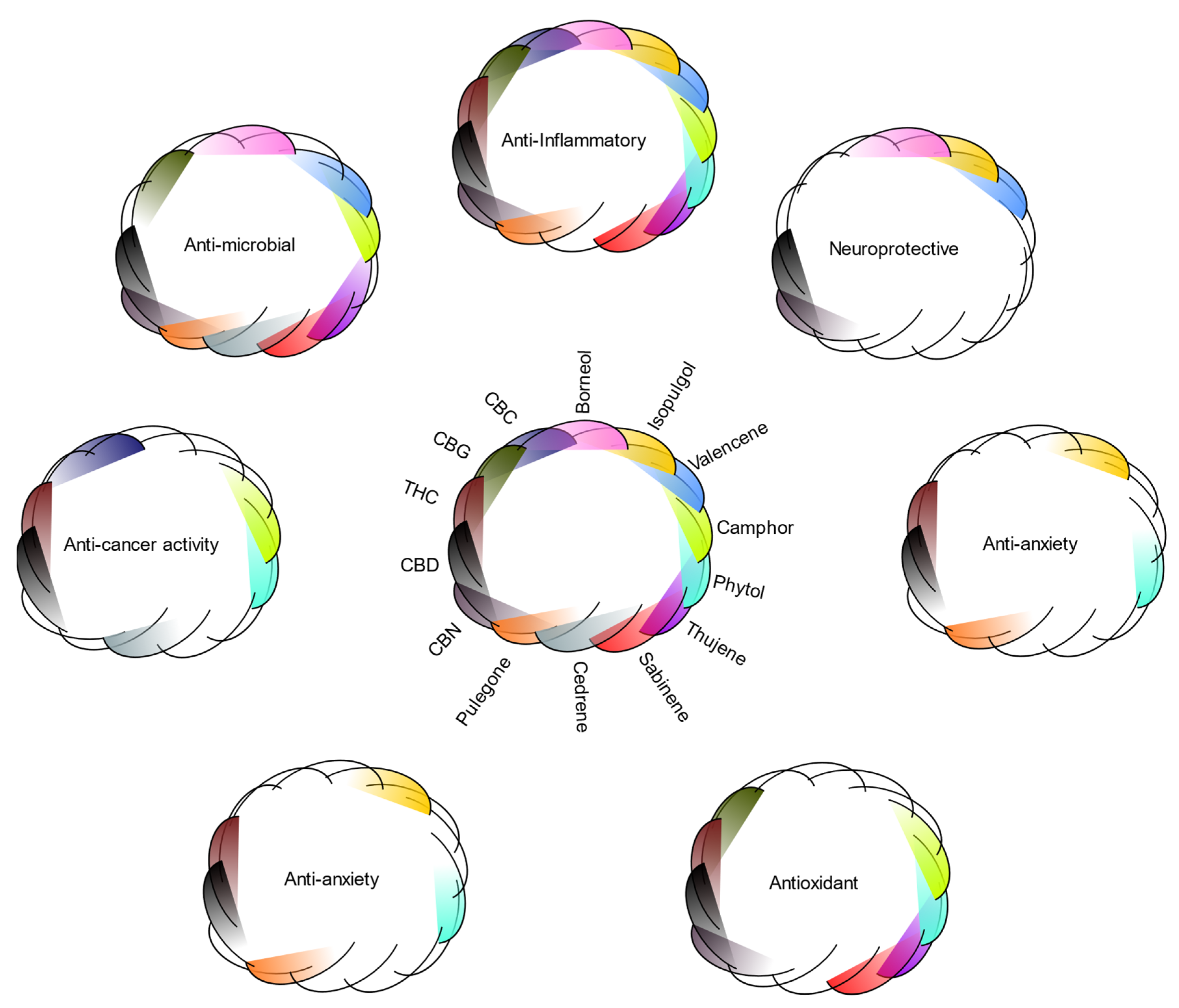 Biomedicines 10 03142 g003