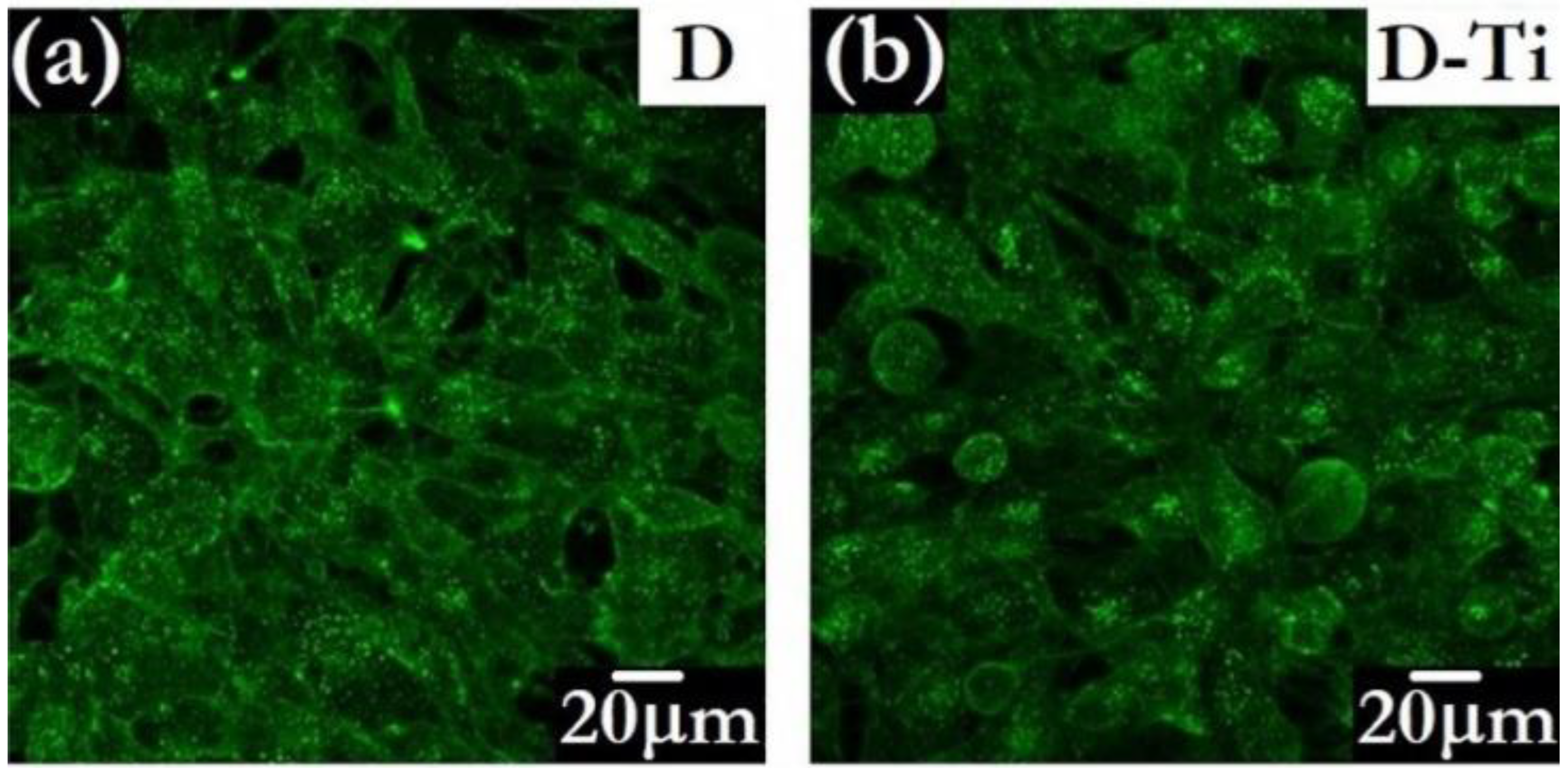 Biomedicines 10 03149 g008 Biomedicines 10 03149 g008