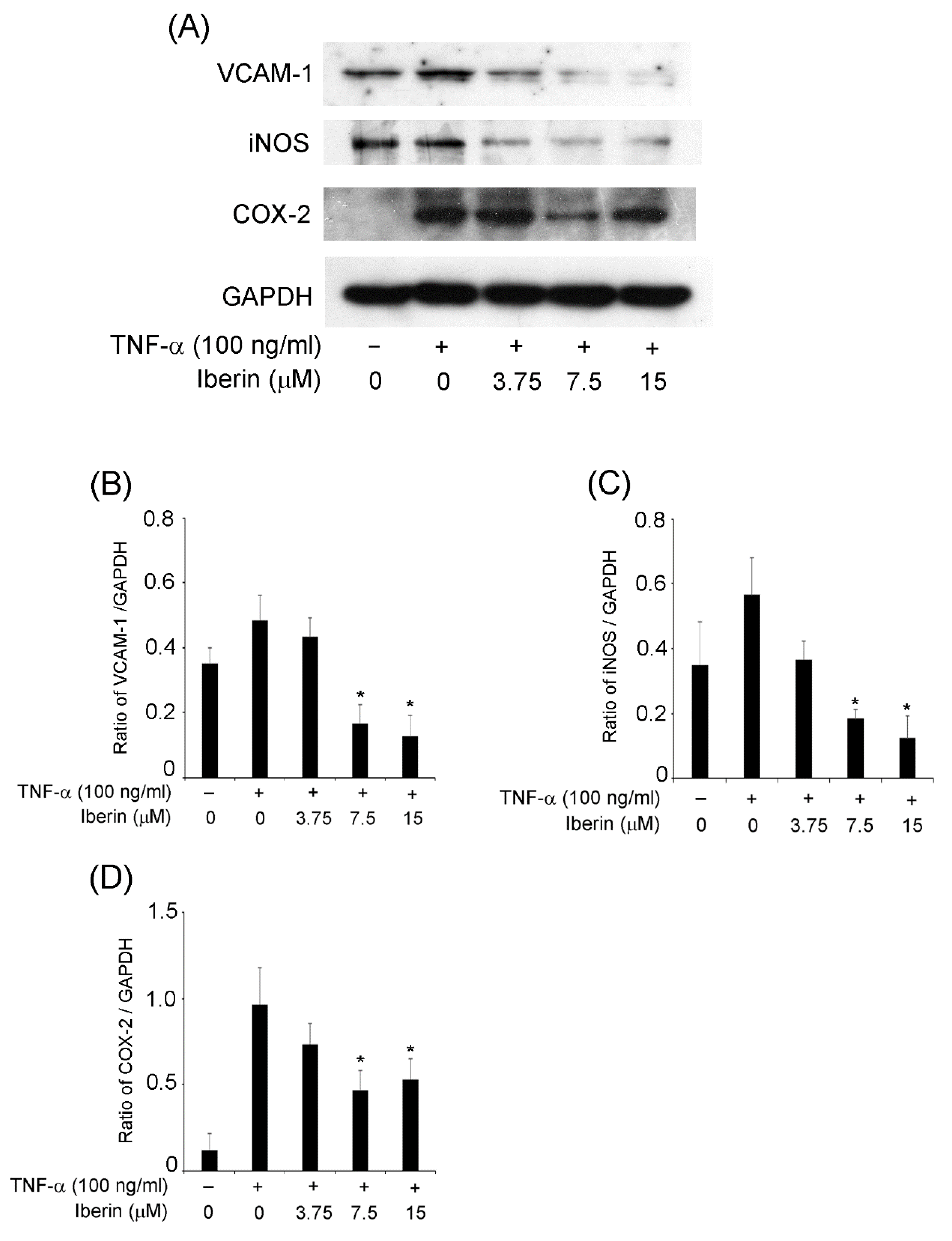 Biomedicines 10 03155 g003