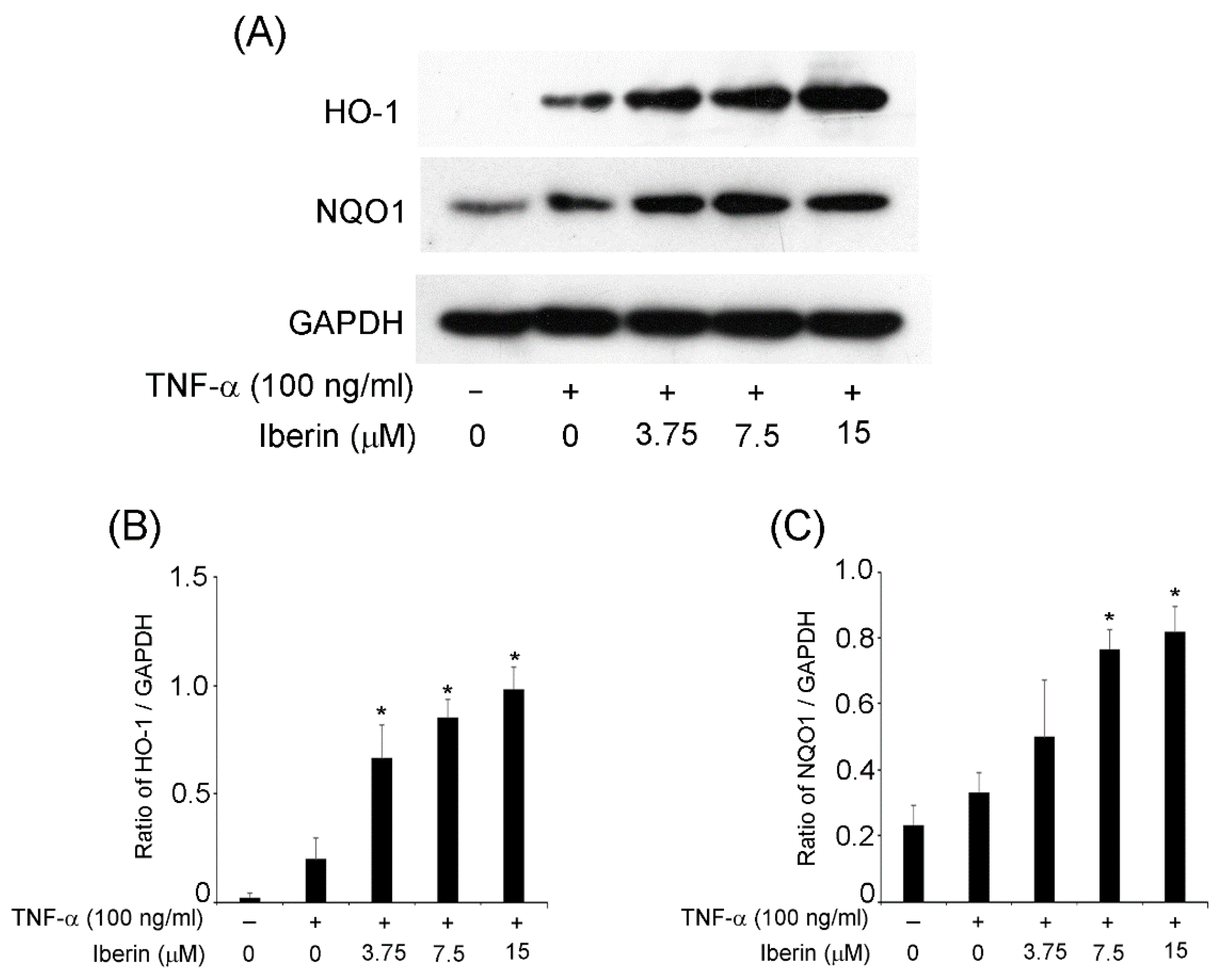 Biomedicines 10 03155 g004