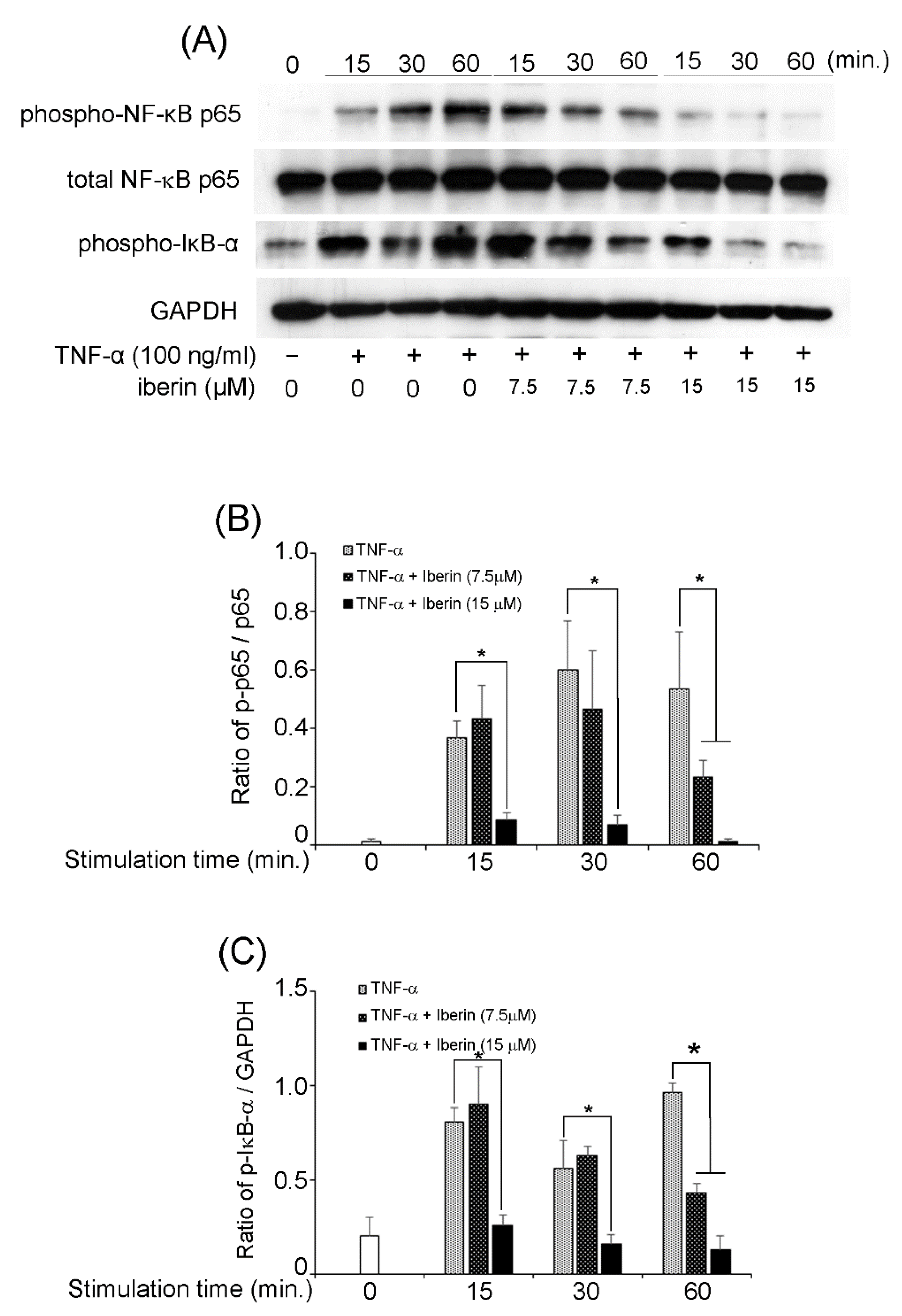 Biomedicines 10 03155 g005