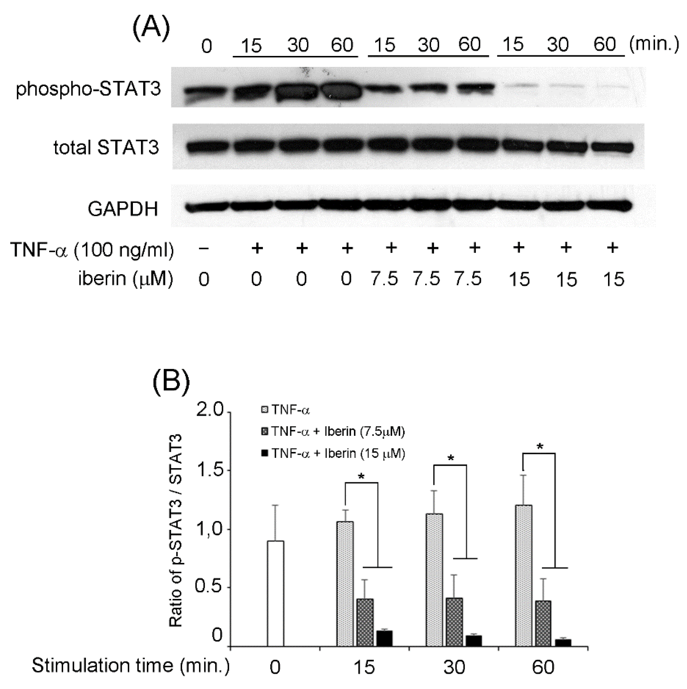 Biomedicines 10 03155 g006