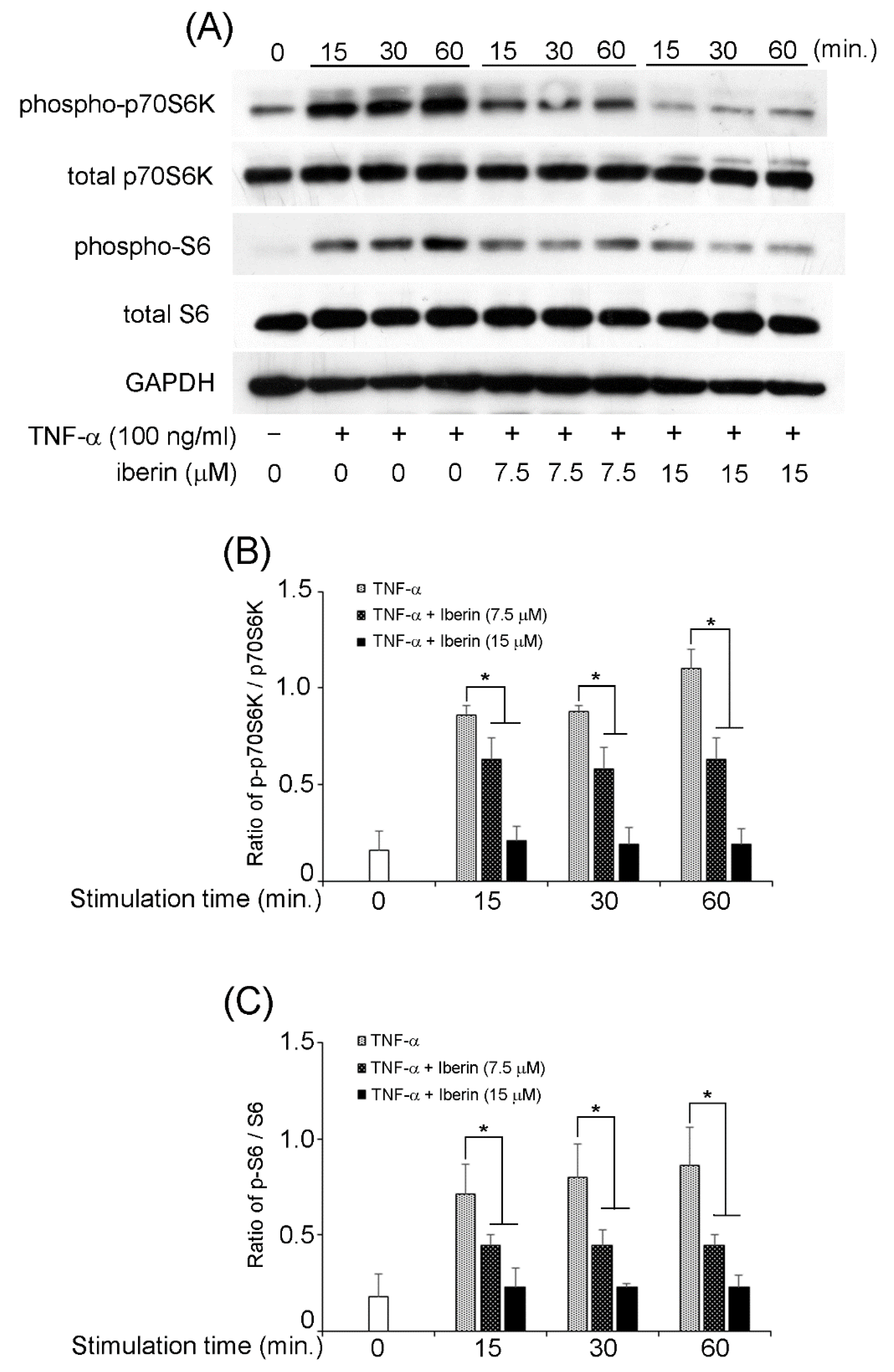 Biomedicines 10 03155 g007